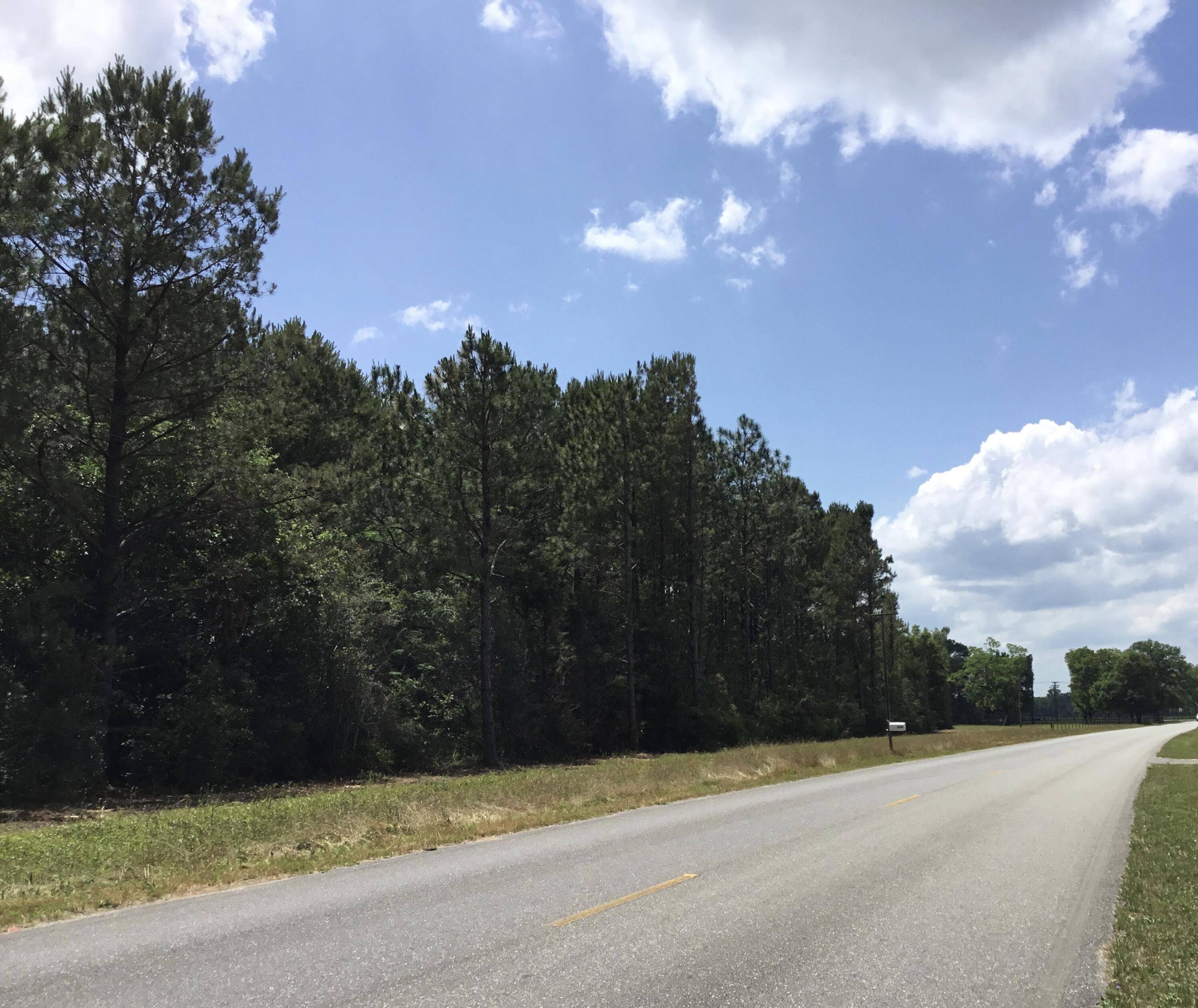 Baker, FL 32531,23.66 Acre Charlie Day Road