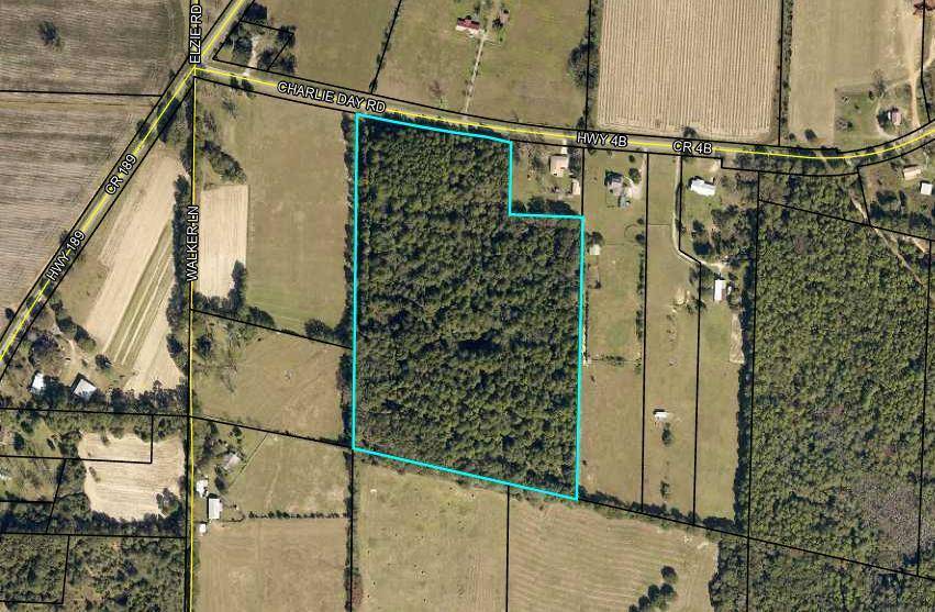 Baker, FL 32531,23.66 Acre Charlie Day Road