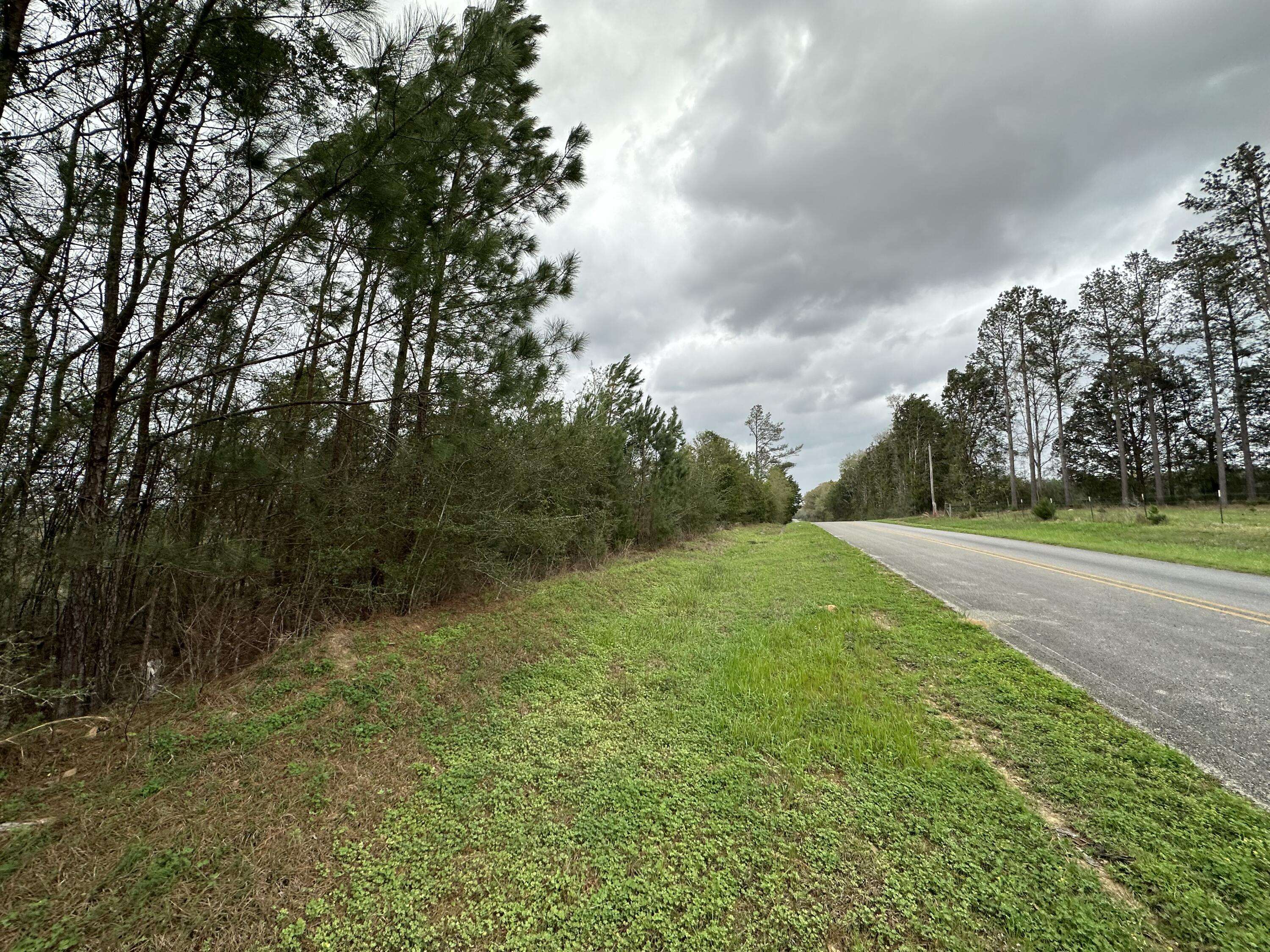 Defuniak Springs, FL 32433,Tract#6201 SE County Hwy 181 Road