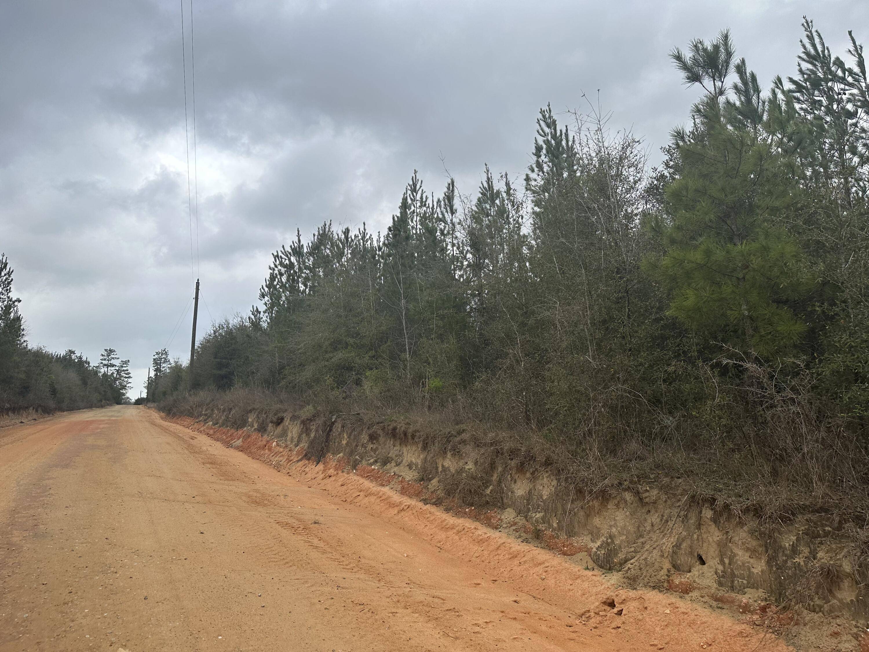 Caryville, FL 32427,Tract#6418 W Mattox Springs Road