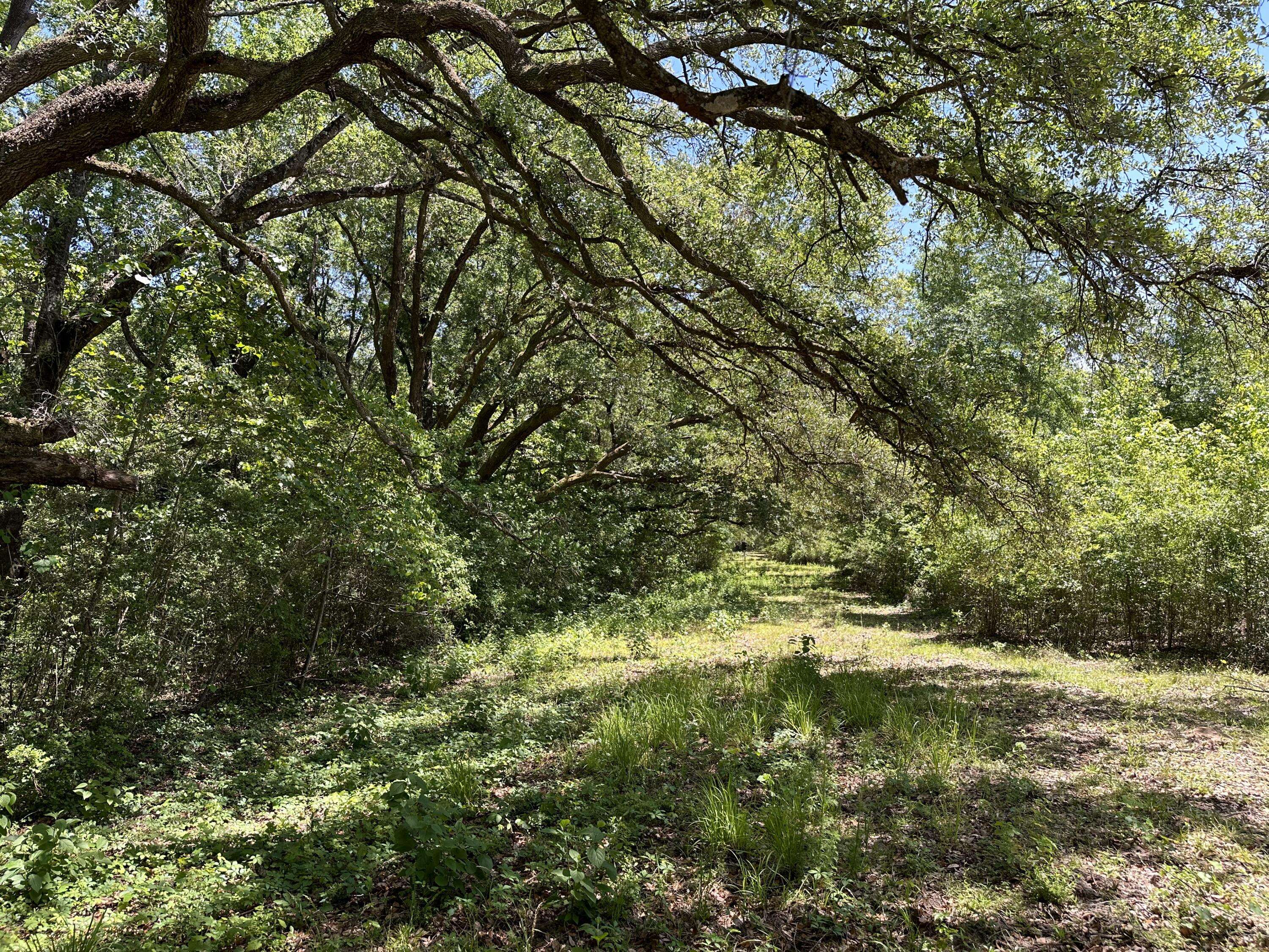 Laurel Hill, FL 32567,10+/-Acres Frost Lane  #A