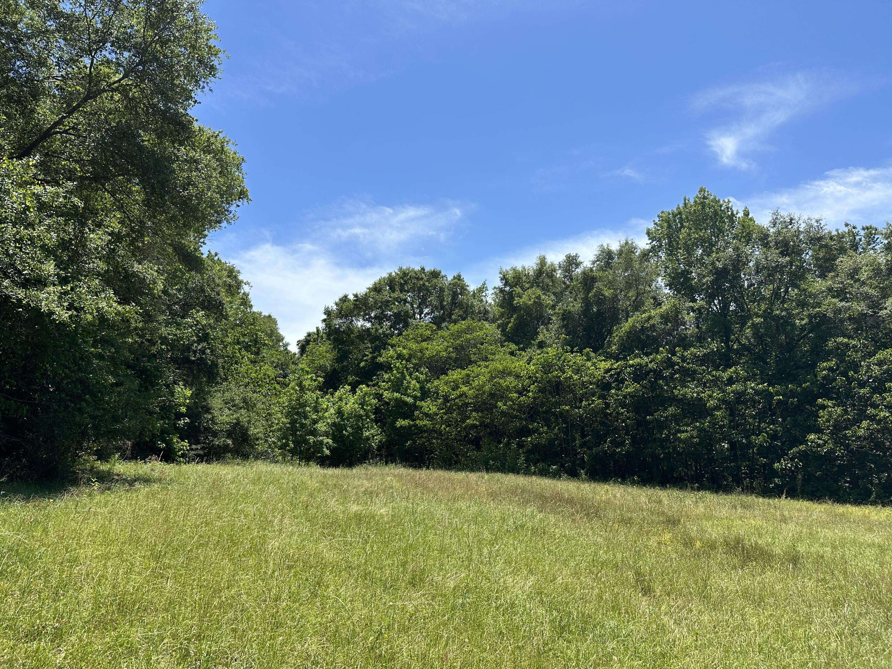 Laurel Hill, FL 32567,10+/-Acres Frost Lane  #A