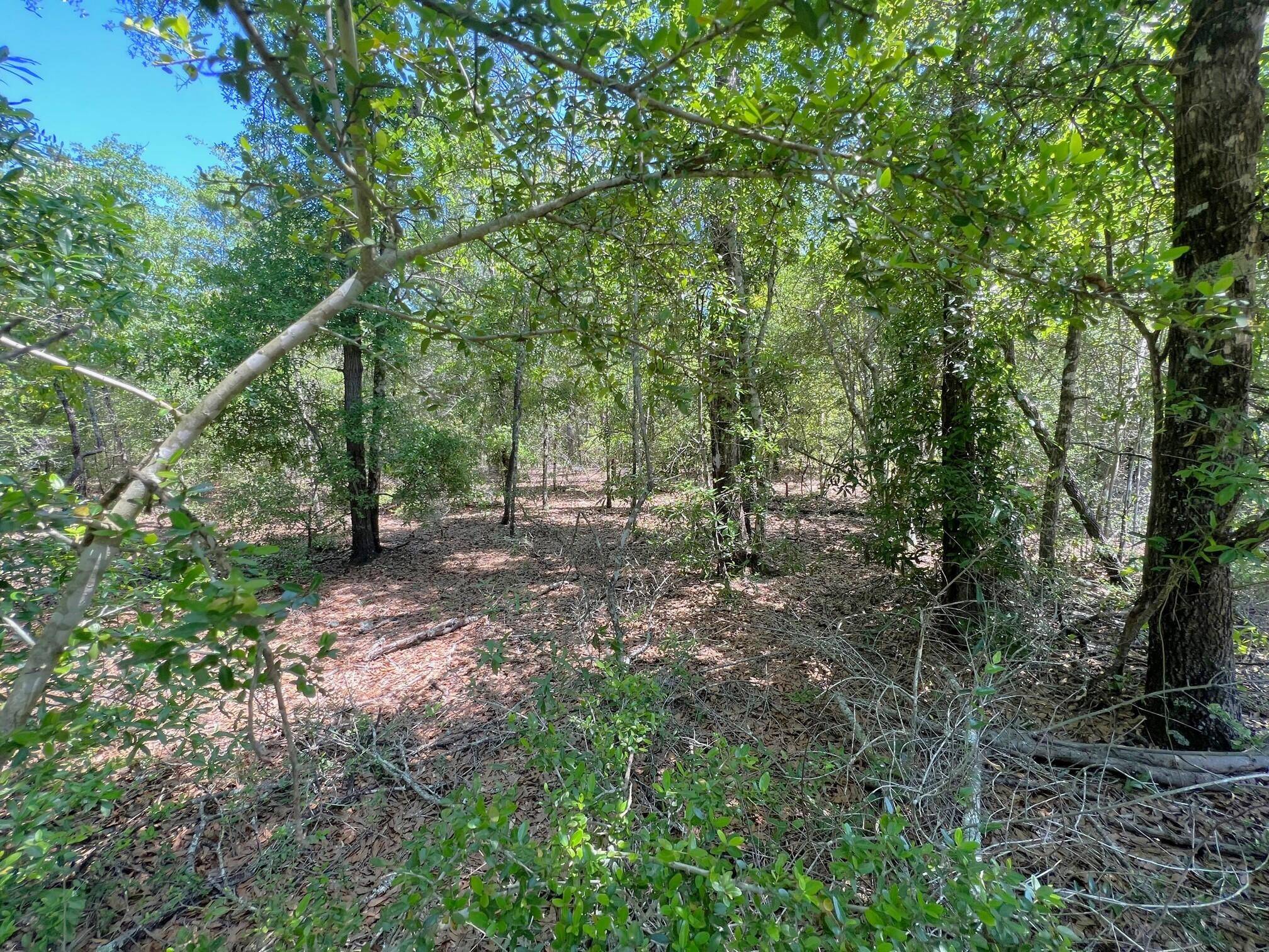 Defuniak Springs, FL 32433,Lot 6 Willow Bend Drive