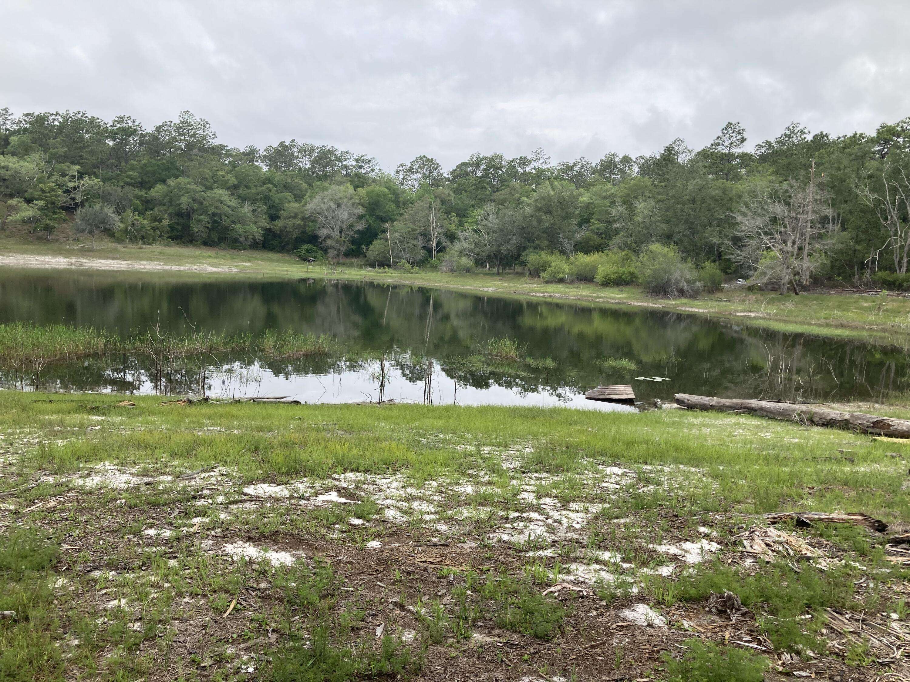 Chipley, FL 32428,TBD Payne Lake Rd.