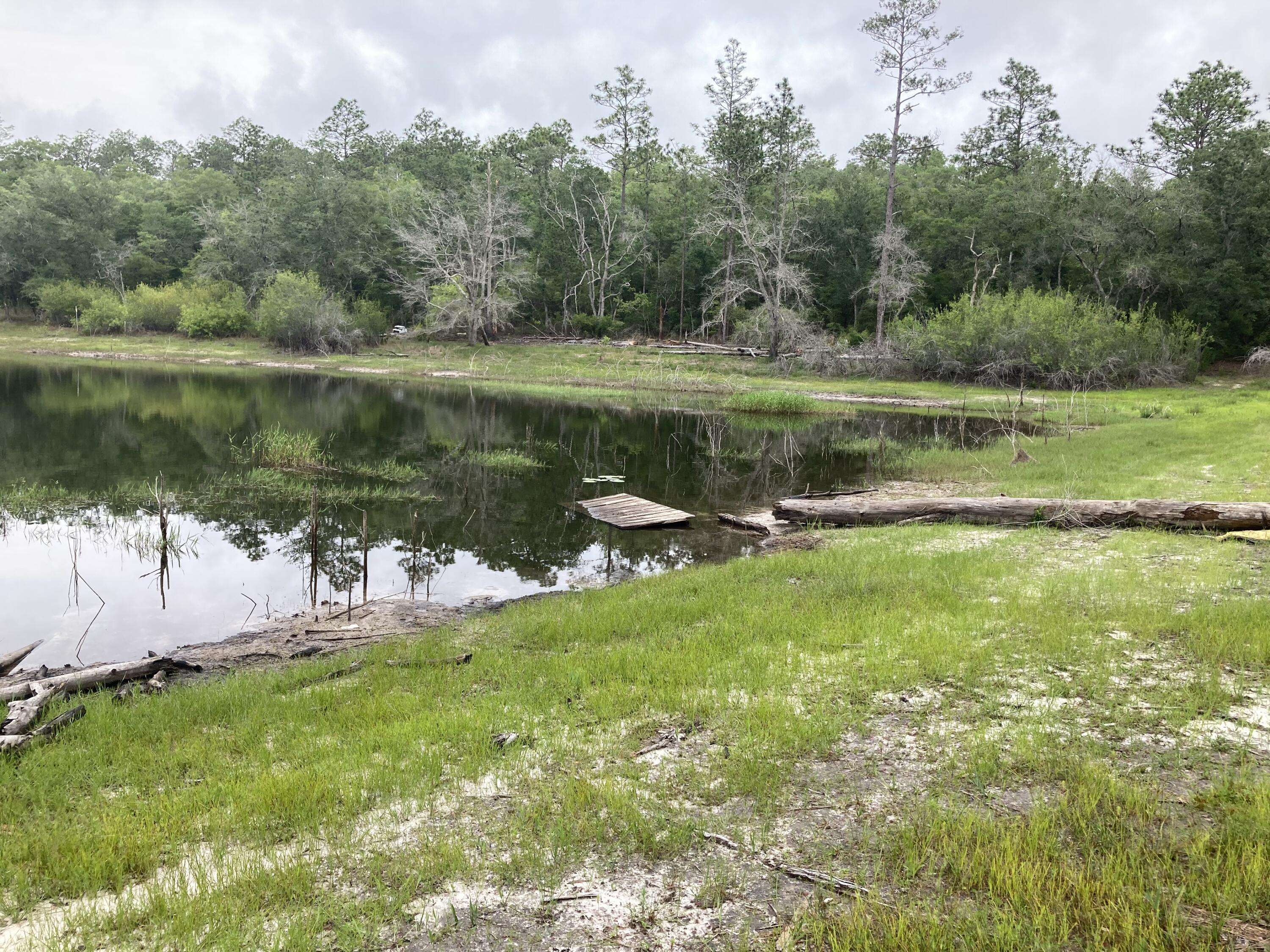 Chipley, FL 32428,TBD Payne Lake Rd.