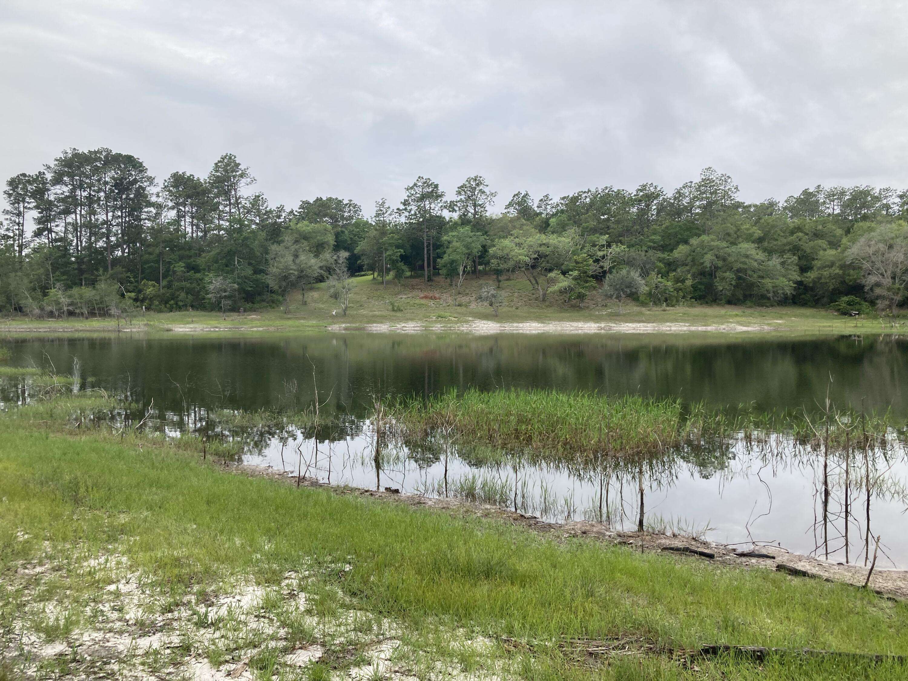 Chipley, FL 32428,TBD Payne Lake Rd.