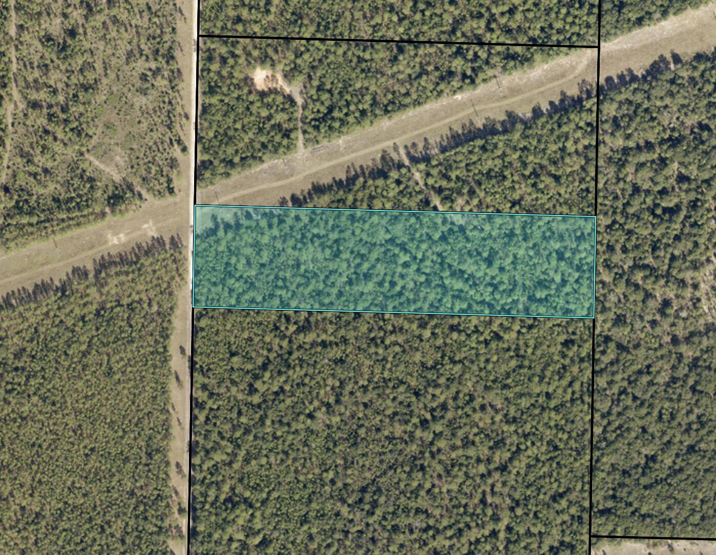 Holt, FL 32564,11768 Wildlife Road