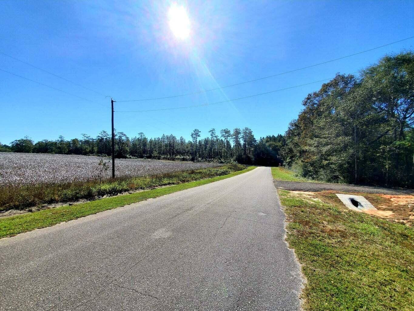 Holt, FL 32564,6221 County Line Road