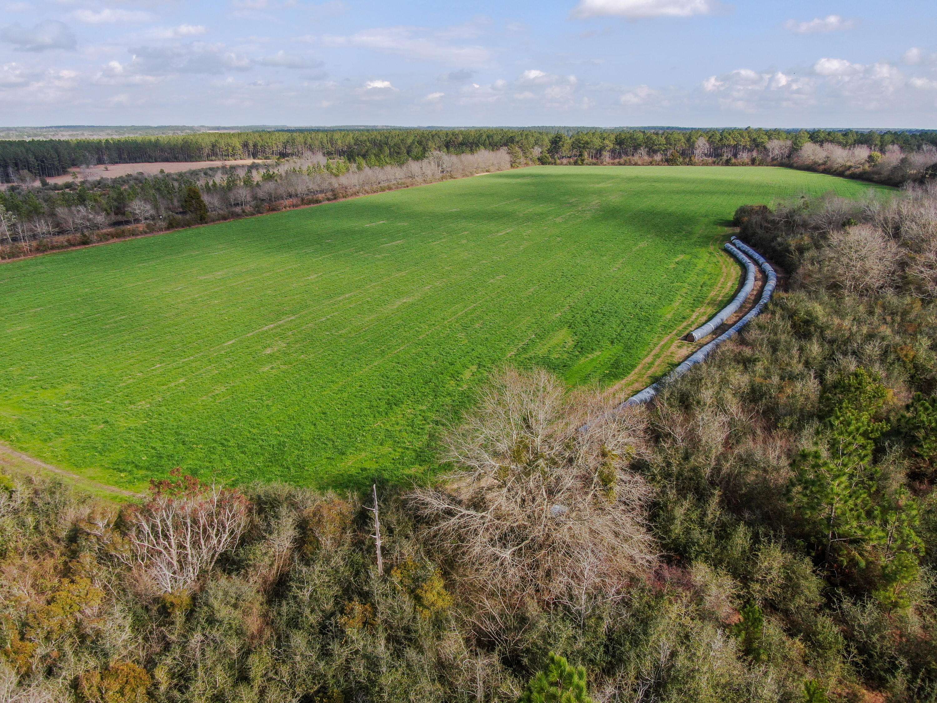 Defuniak Springs, FL 32433,40 Acres Brown Road