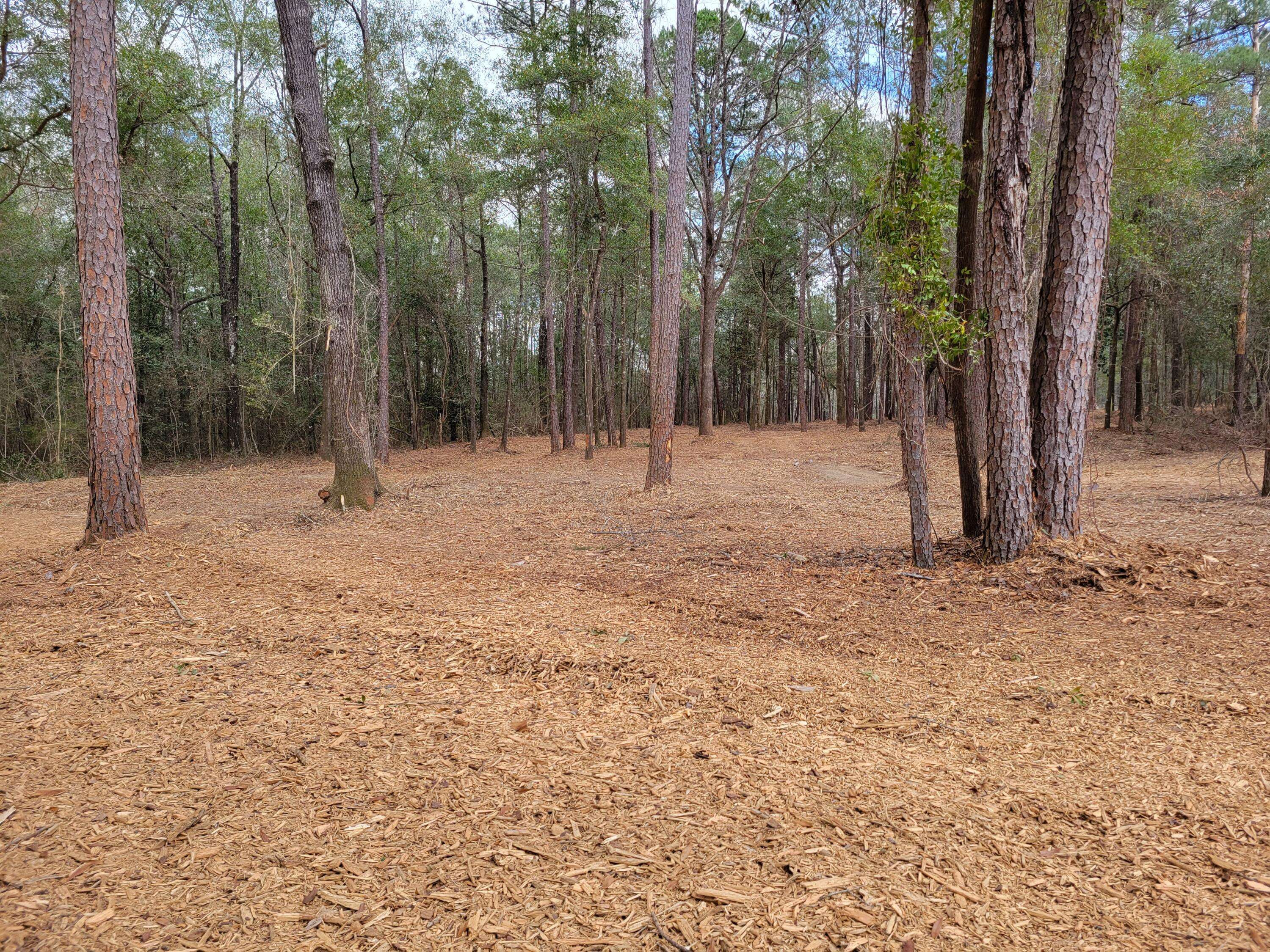 Laurel Hill, FL 32567,14+/- Ac Gartman Road