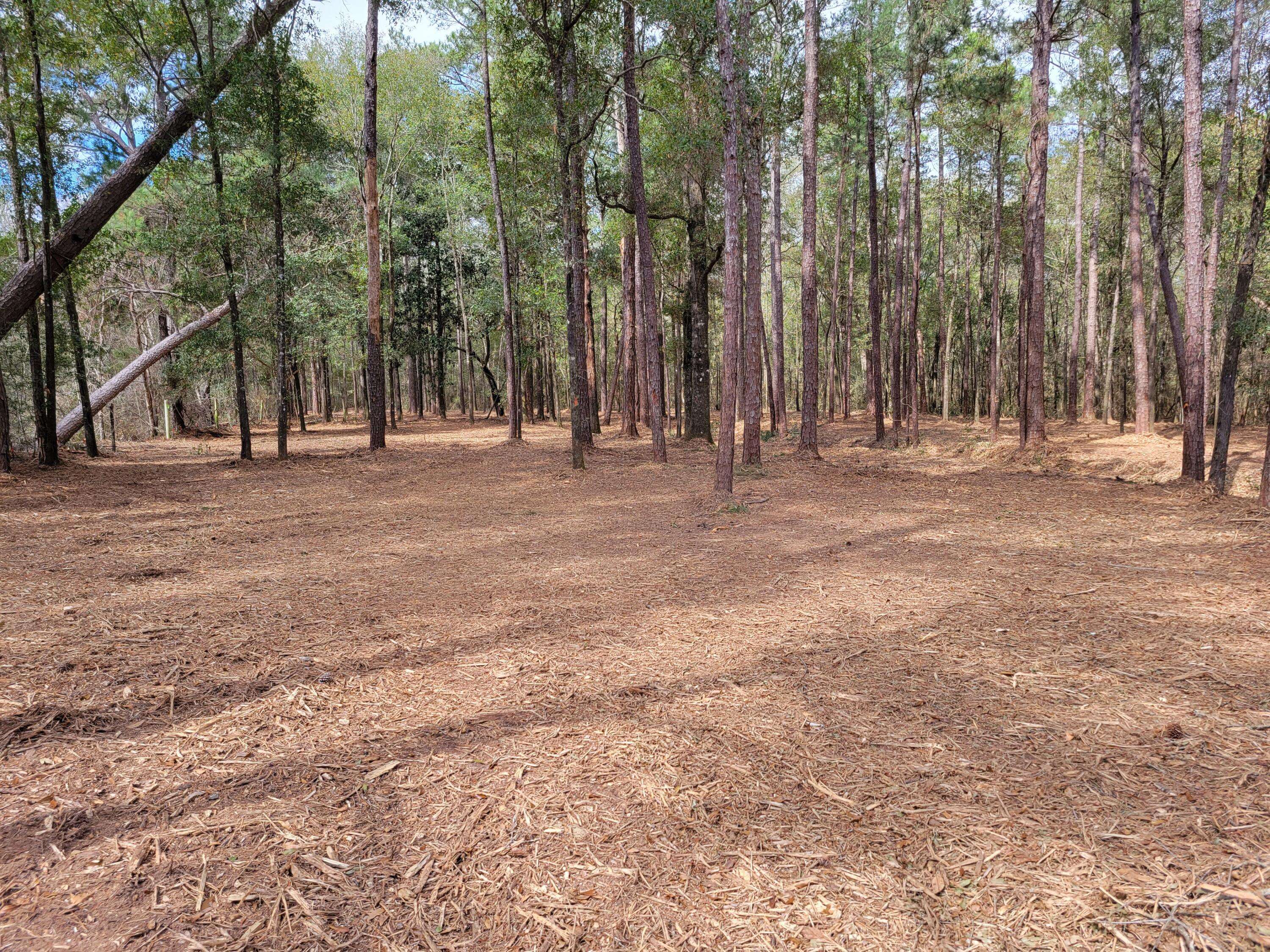 Laurel Hill, FL 32567,14+/- Ac Gartman Road