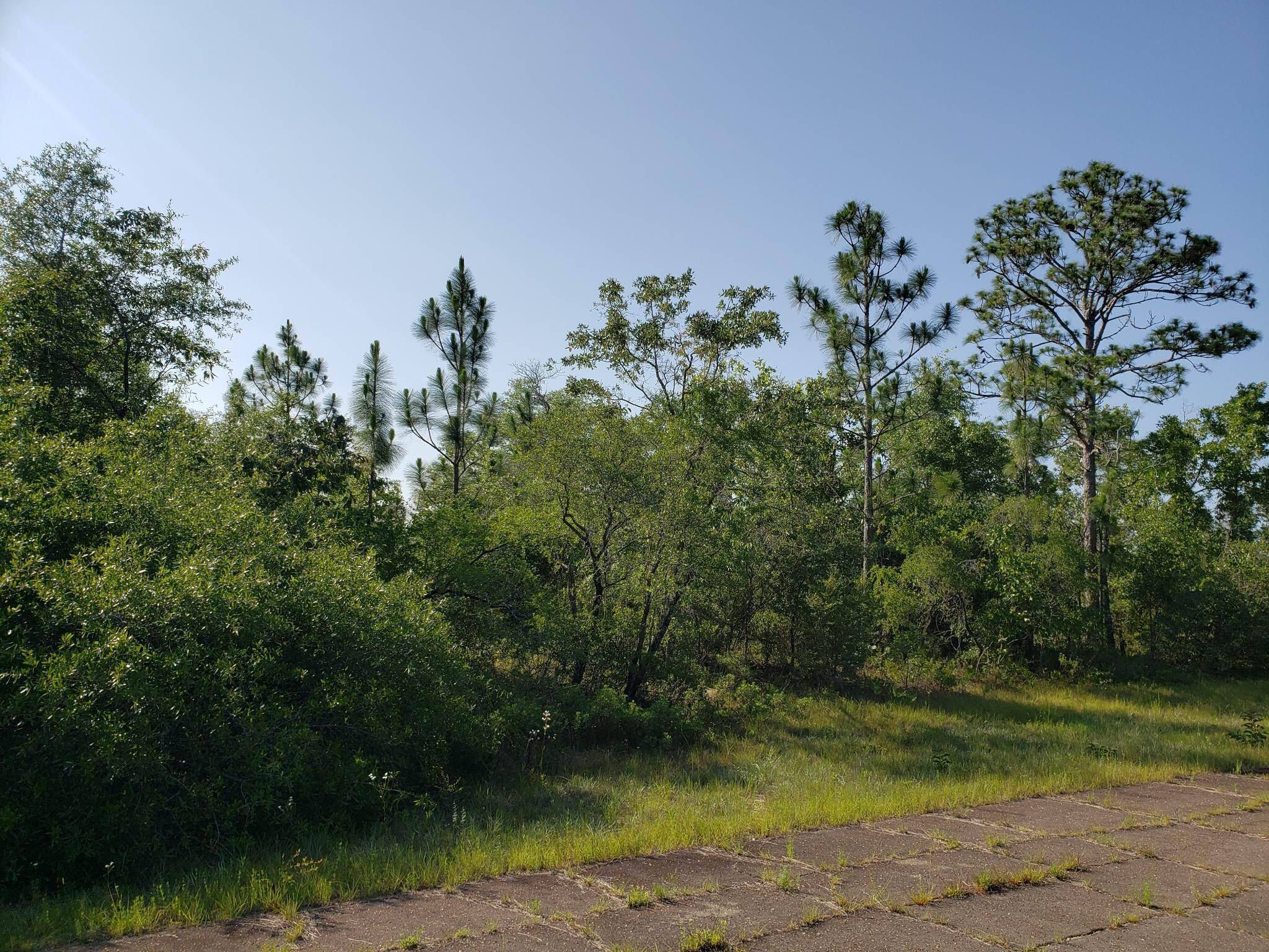 Chipley, FL 32428,Lot 4 KEESLER Lane