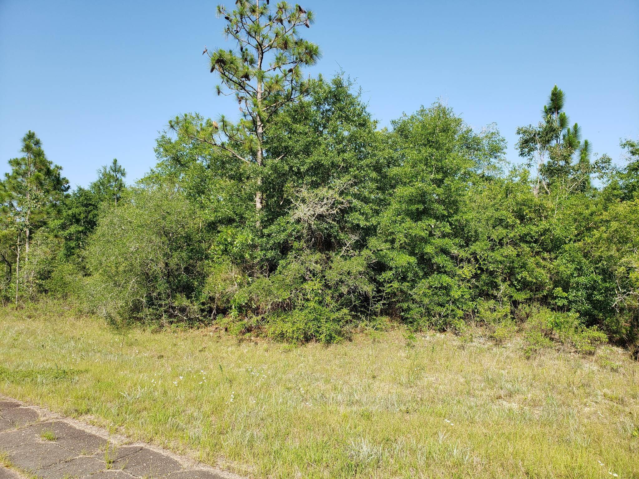 Chipley, FL 32428,Lot 4 KEESLER Lane