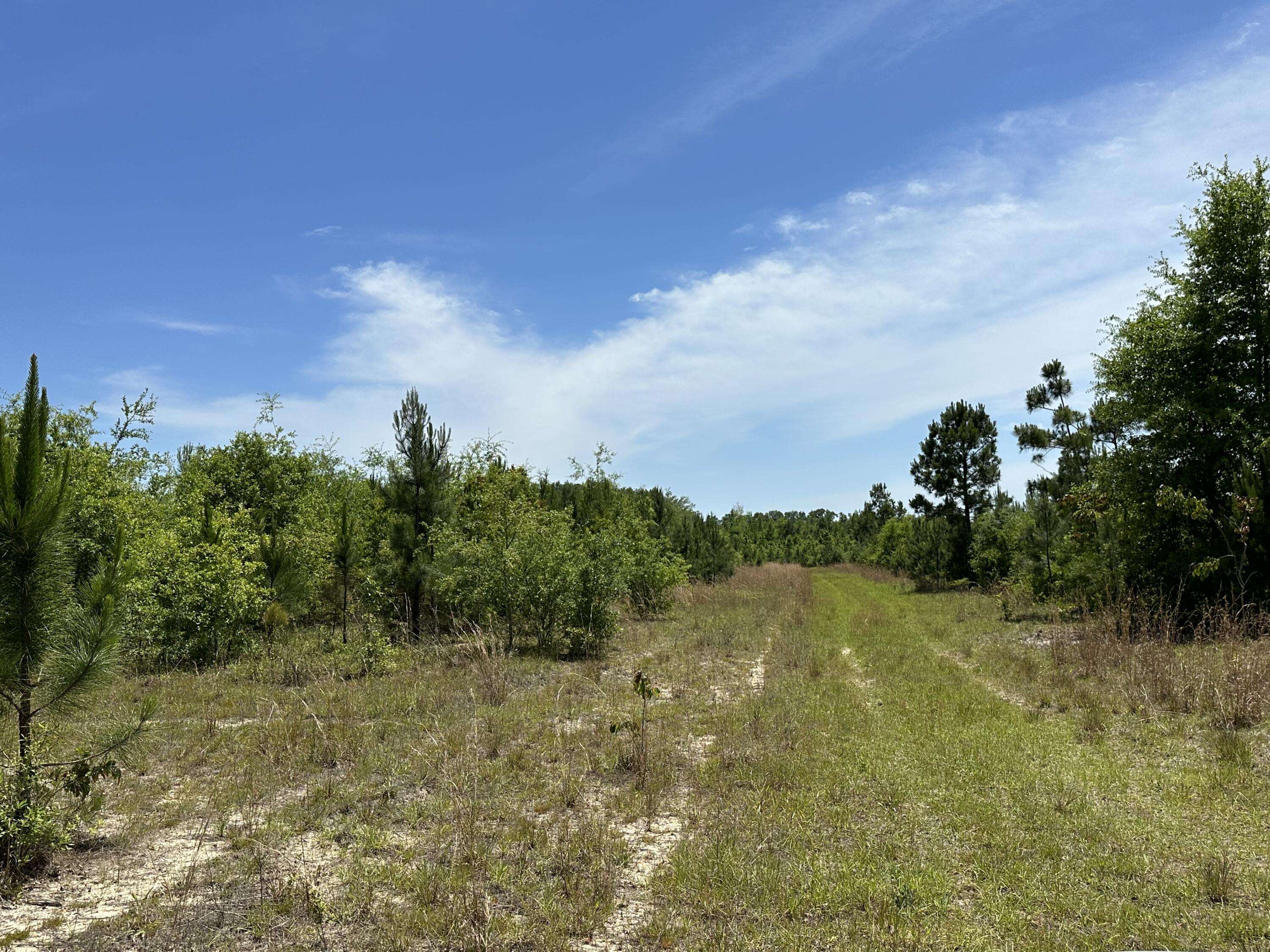 Laurel Hill, FL 32567,10+/-Acres Frost Lane  #F