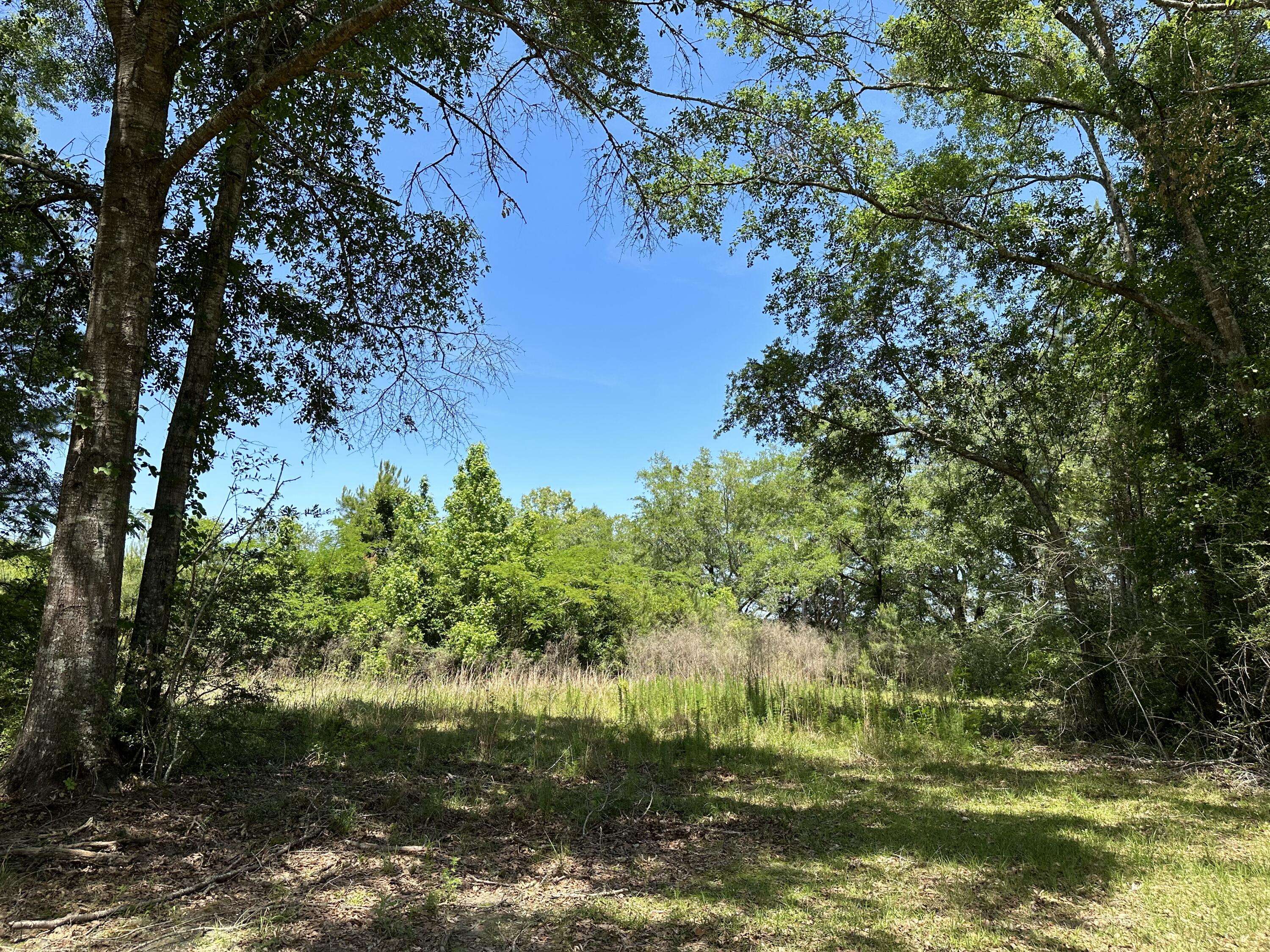 Laurel Hill, FL 32567,10+/-Acres Frost Lane  #F