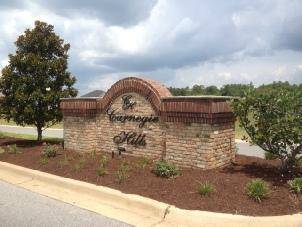 Crestview, FL 32536,LOT A19 Plum Orchard Way