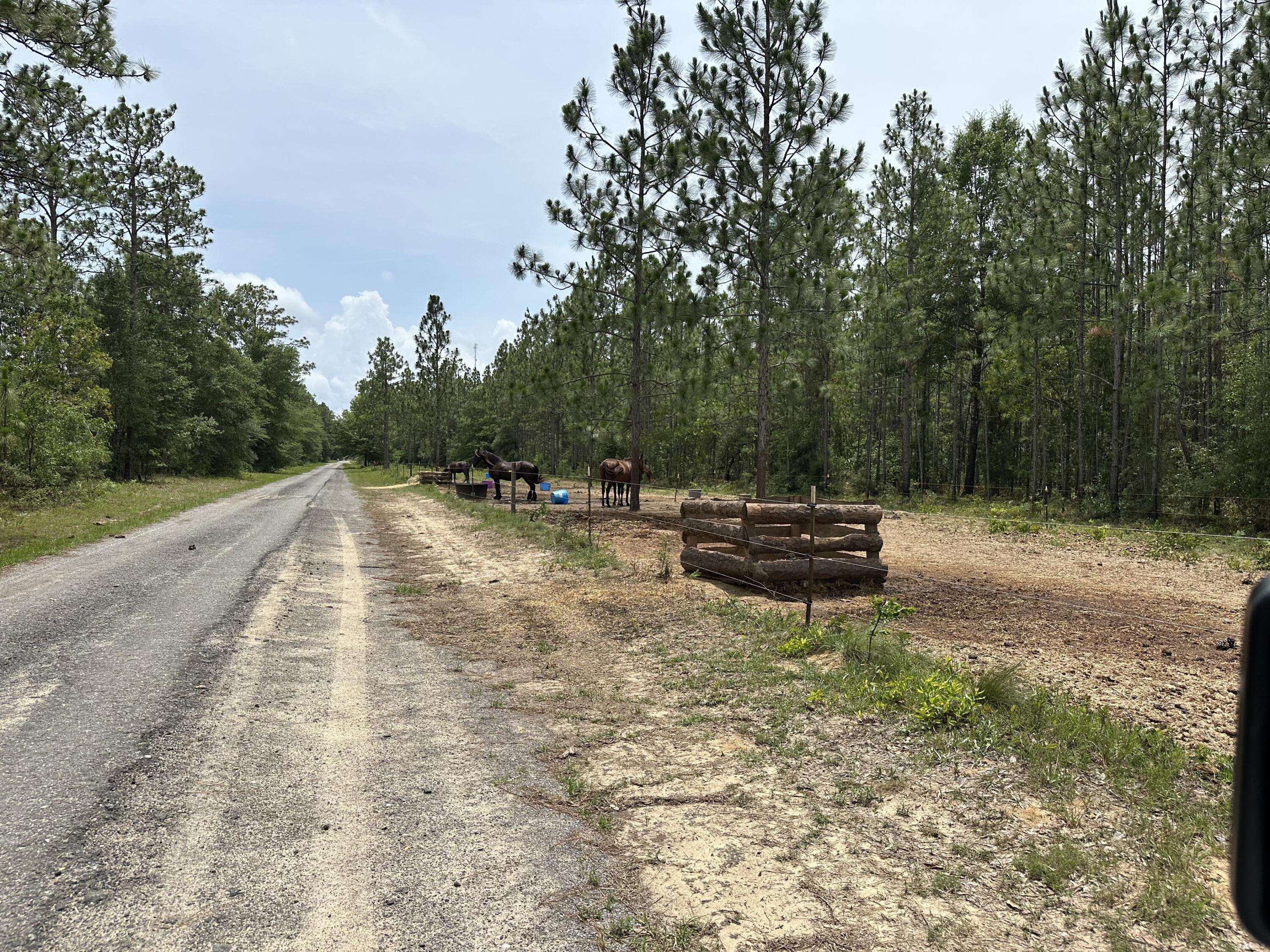 Milton, FL 32570,Parcel B Wildlife Road