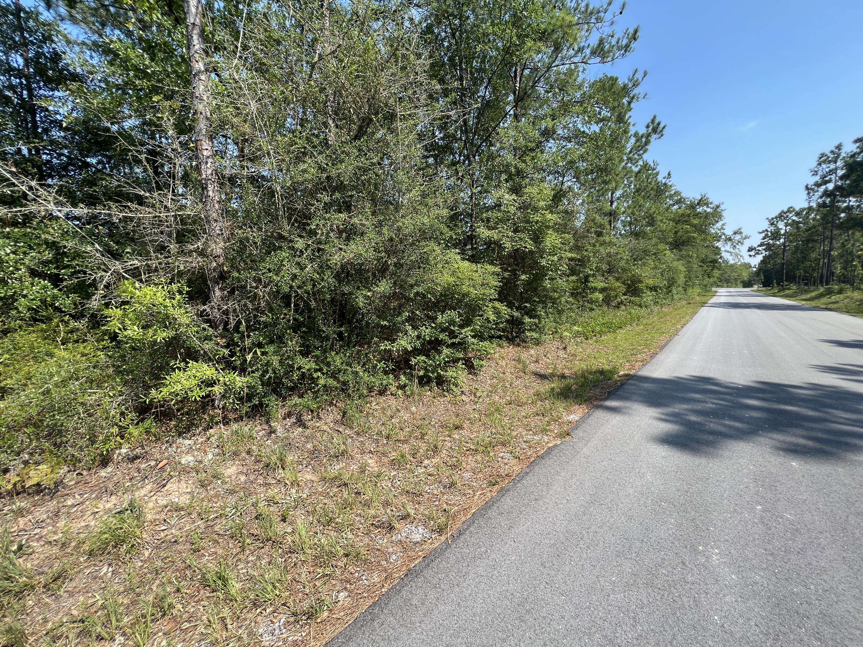 Holt, FL 32564,xxx Kelly Mill Road