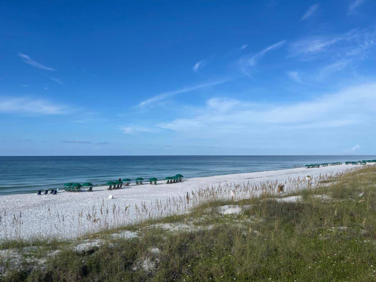 Miramar Beach, FL 32550,81 Payne Street  #Lot 7