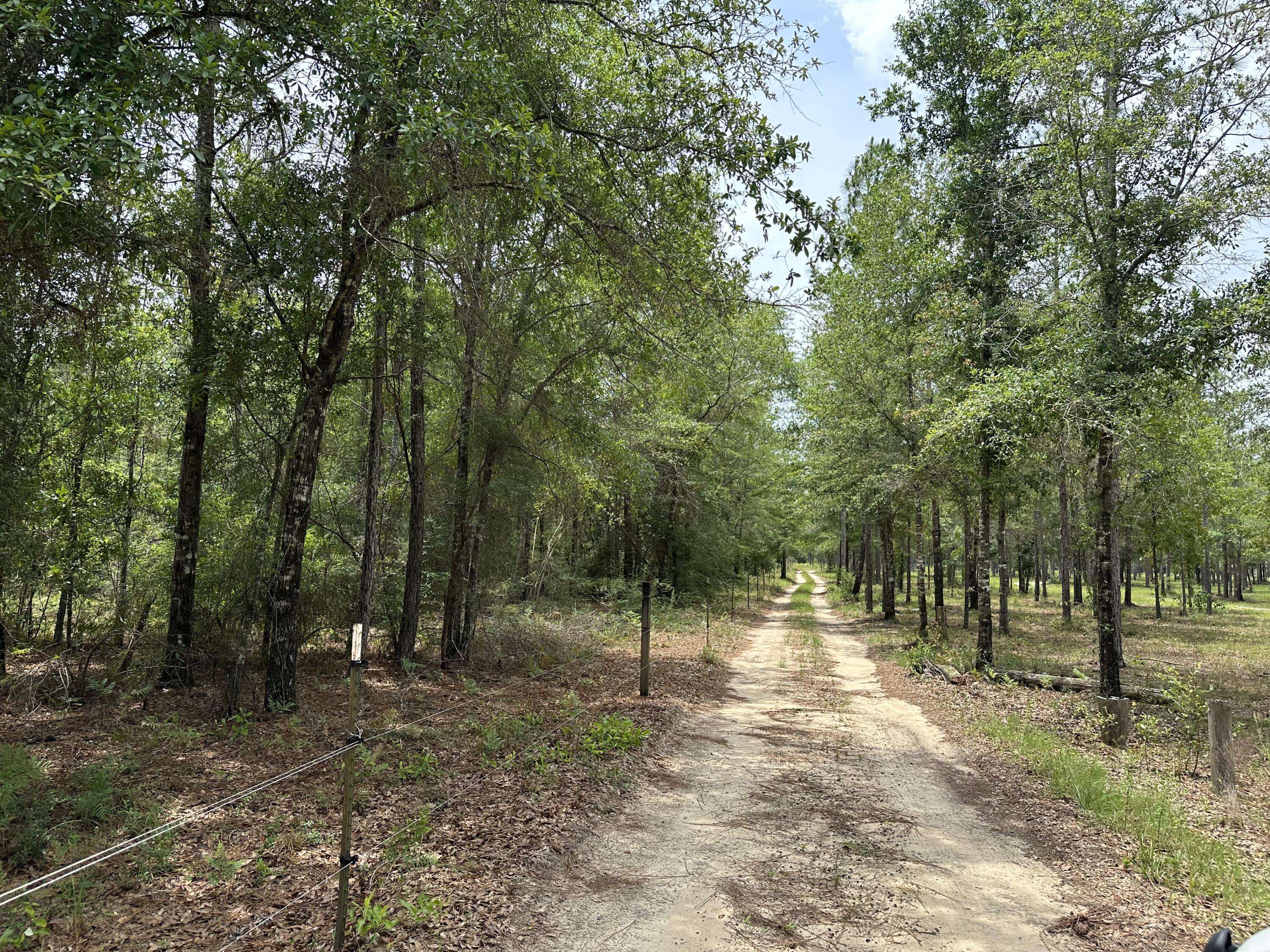 Milton, FL 32570,Parcel C Wildlife Road