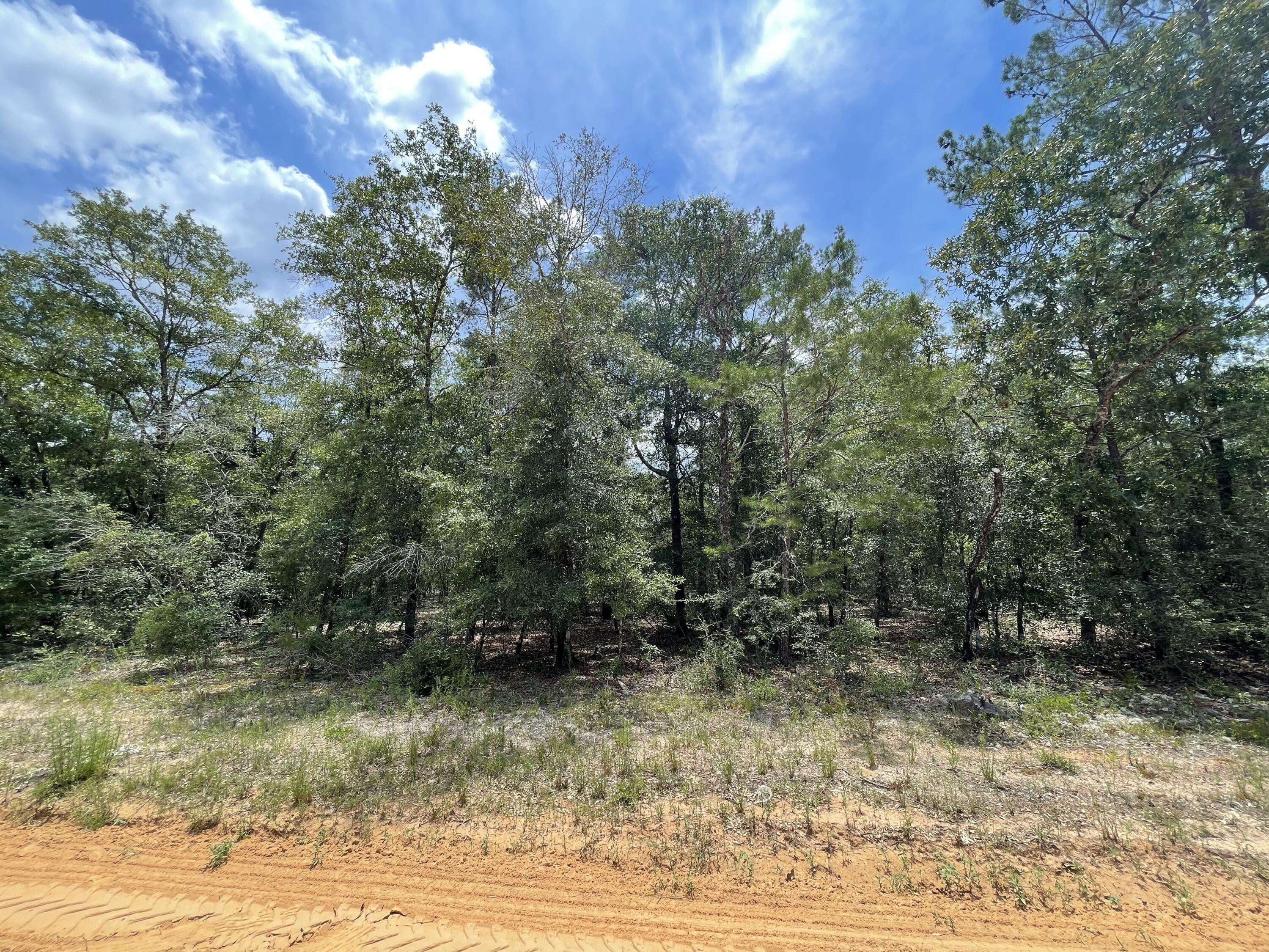 Defuniak Springs, FL 32433,Lot 18 E Cypress Avenue