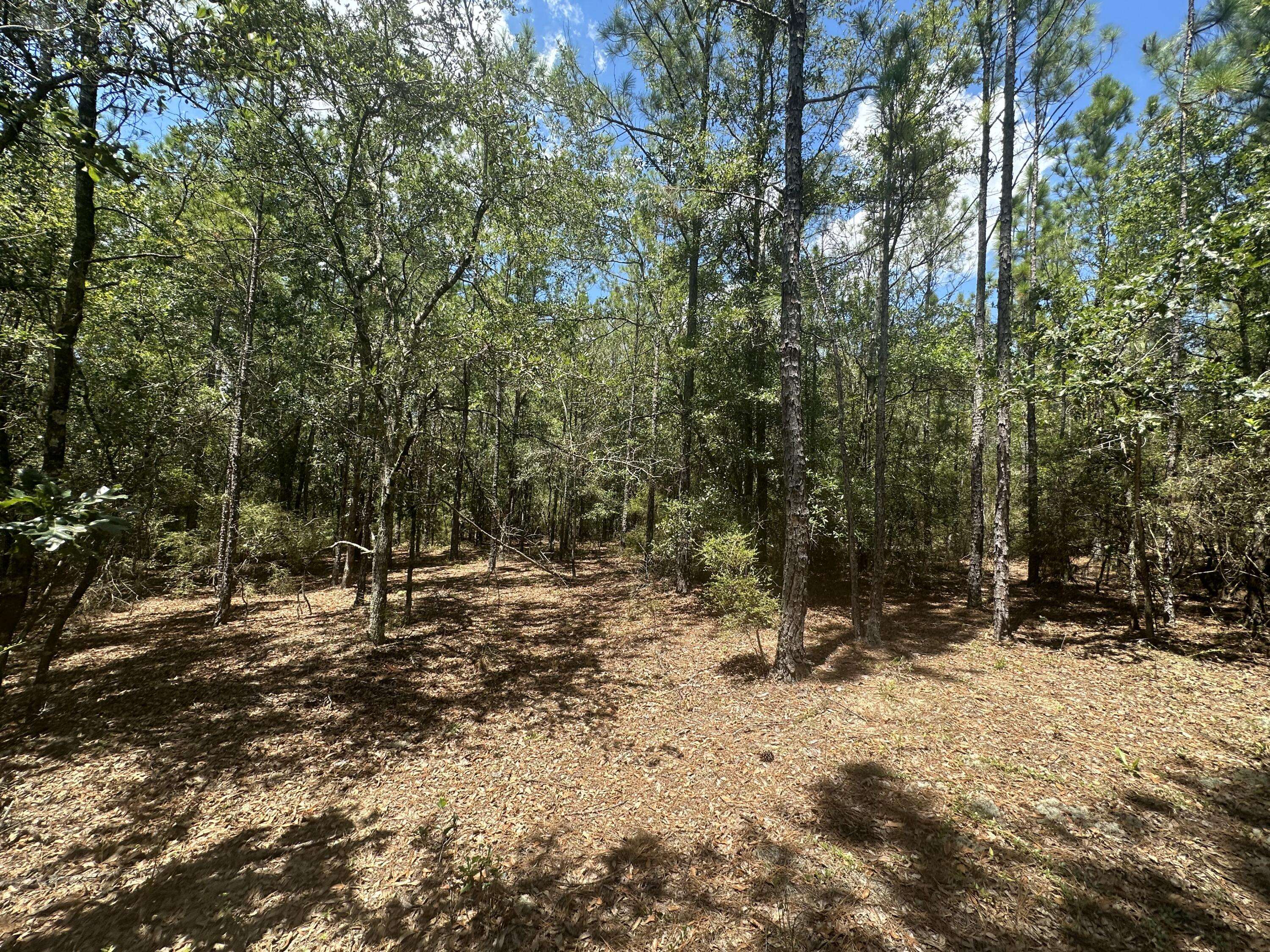 Milton, FL 32570,Lot 12 Shepherds Lane