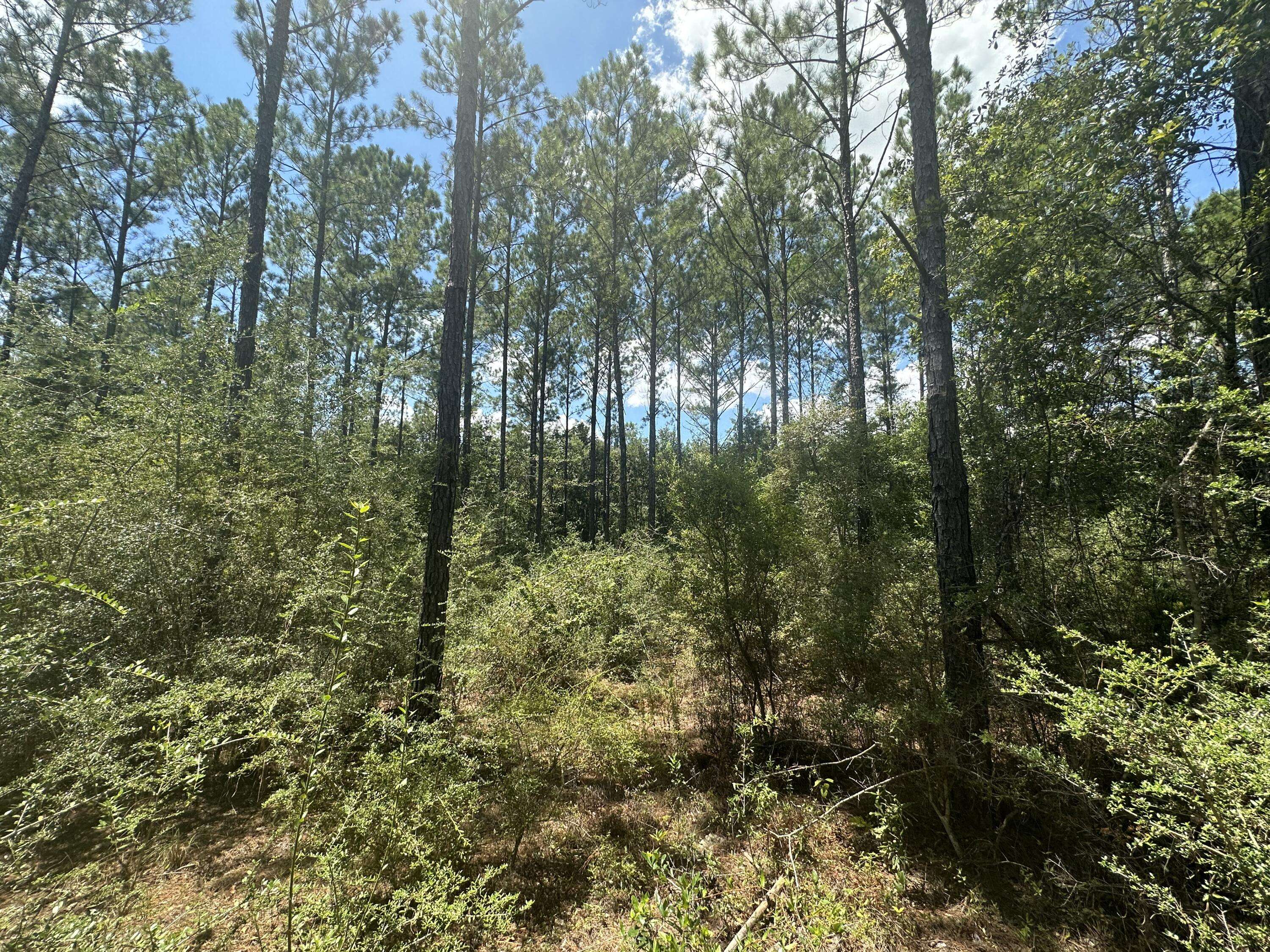 Milton, FL 32570,Lot 12 Shepherds Lane