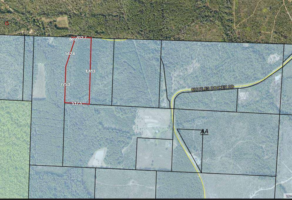 Baker, FL 32531,15.65 Acre Alice Chesser