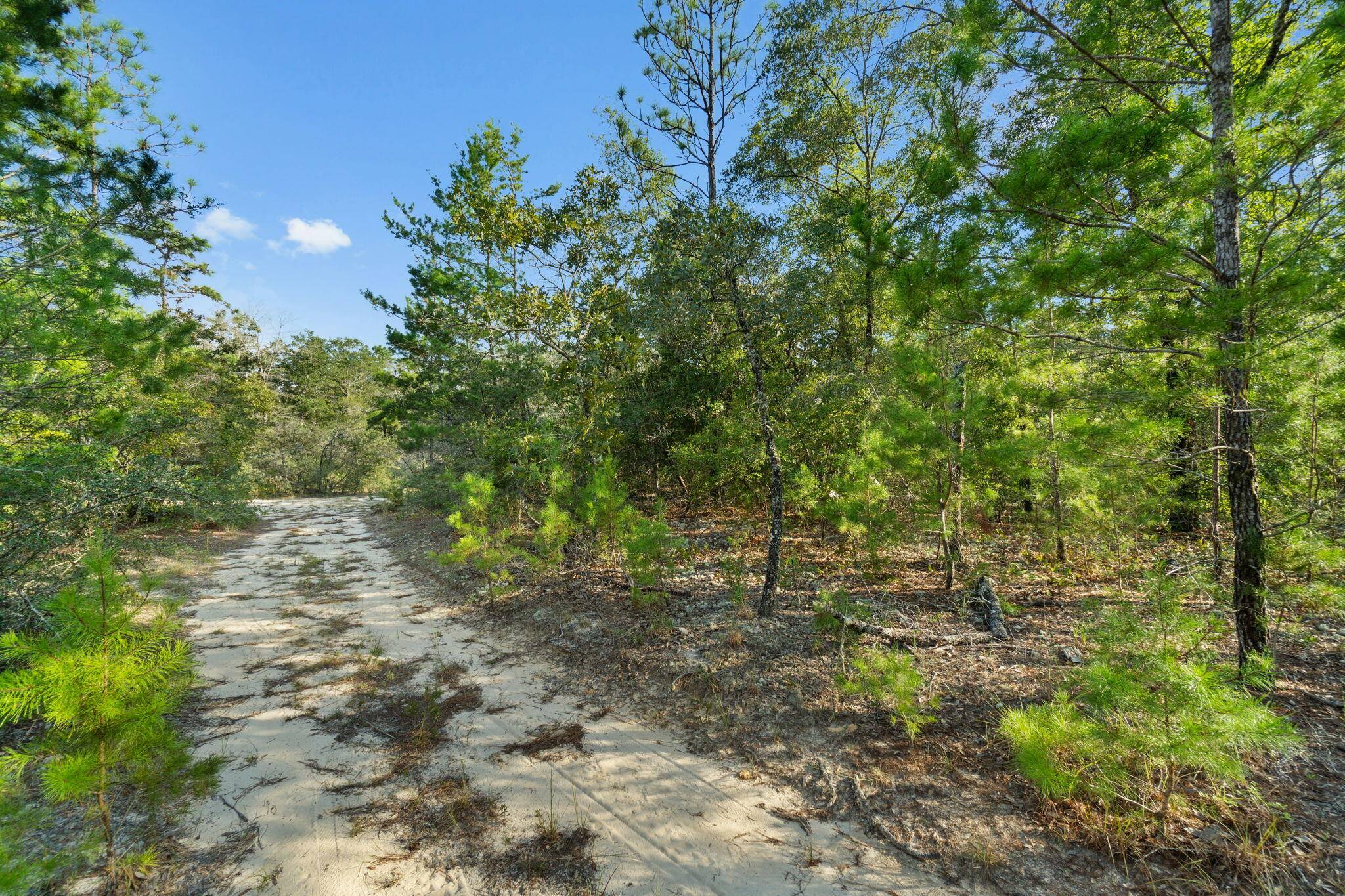 Defuniak Springs, FL 32433,Lots 36,37,38 E BOX ELDER DR