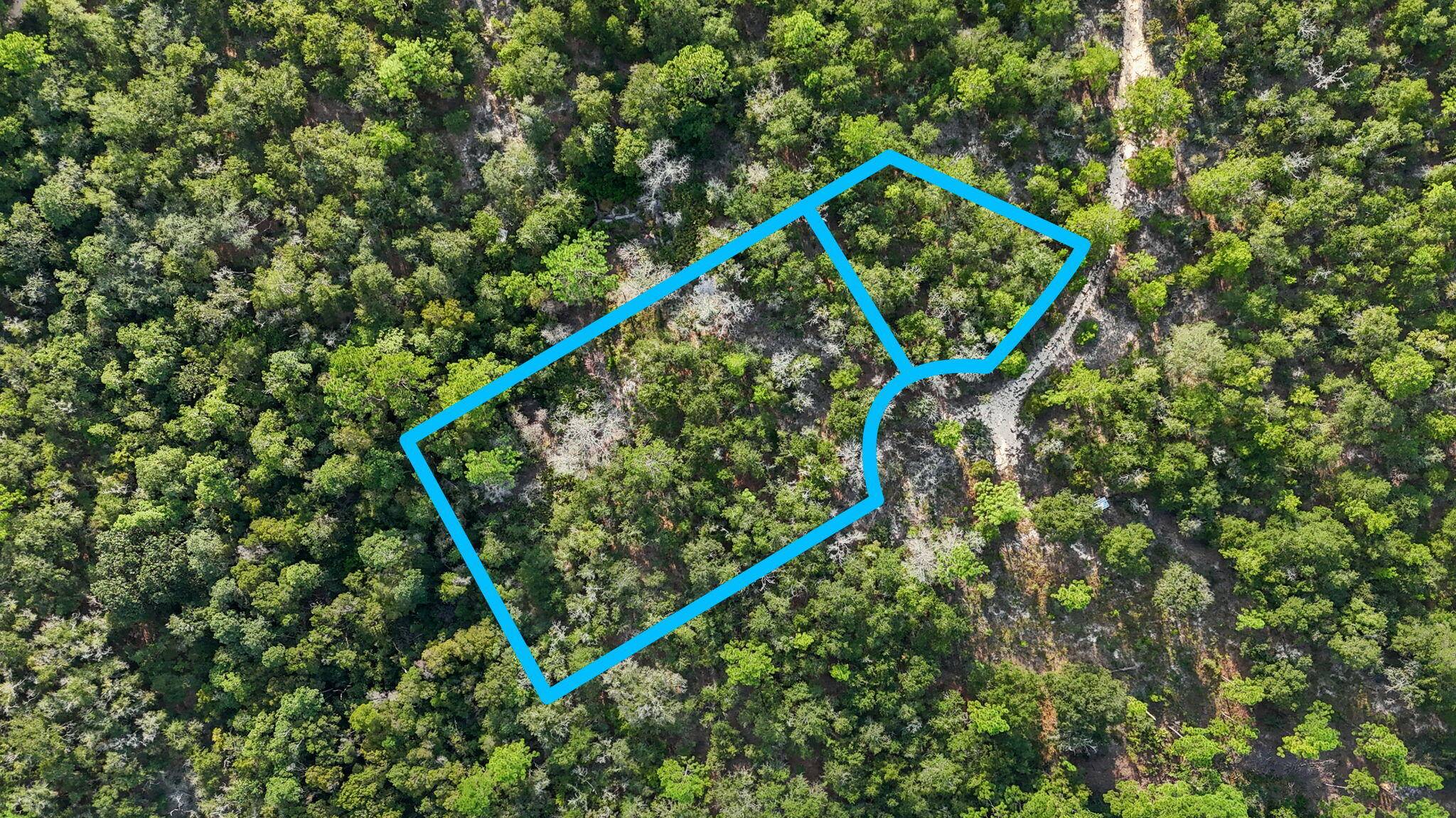 Defuniak Springs, FL 32433,Lots 36,37,38 E BOX ELDER DR