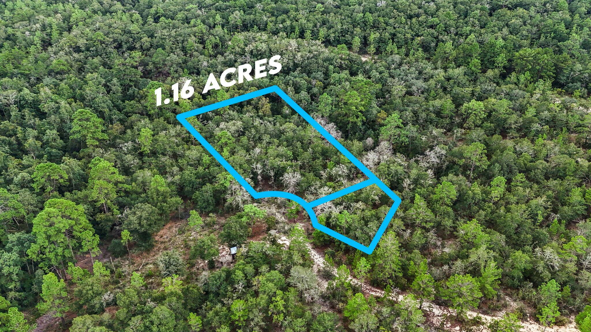 Defuniak Springs, FL 32433,Lots 36,37,38 E BOX ELDER DR