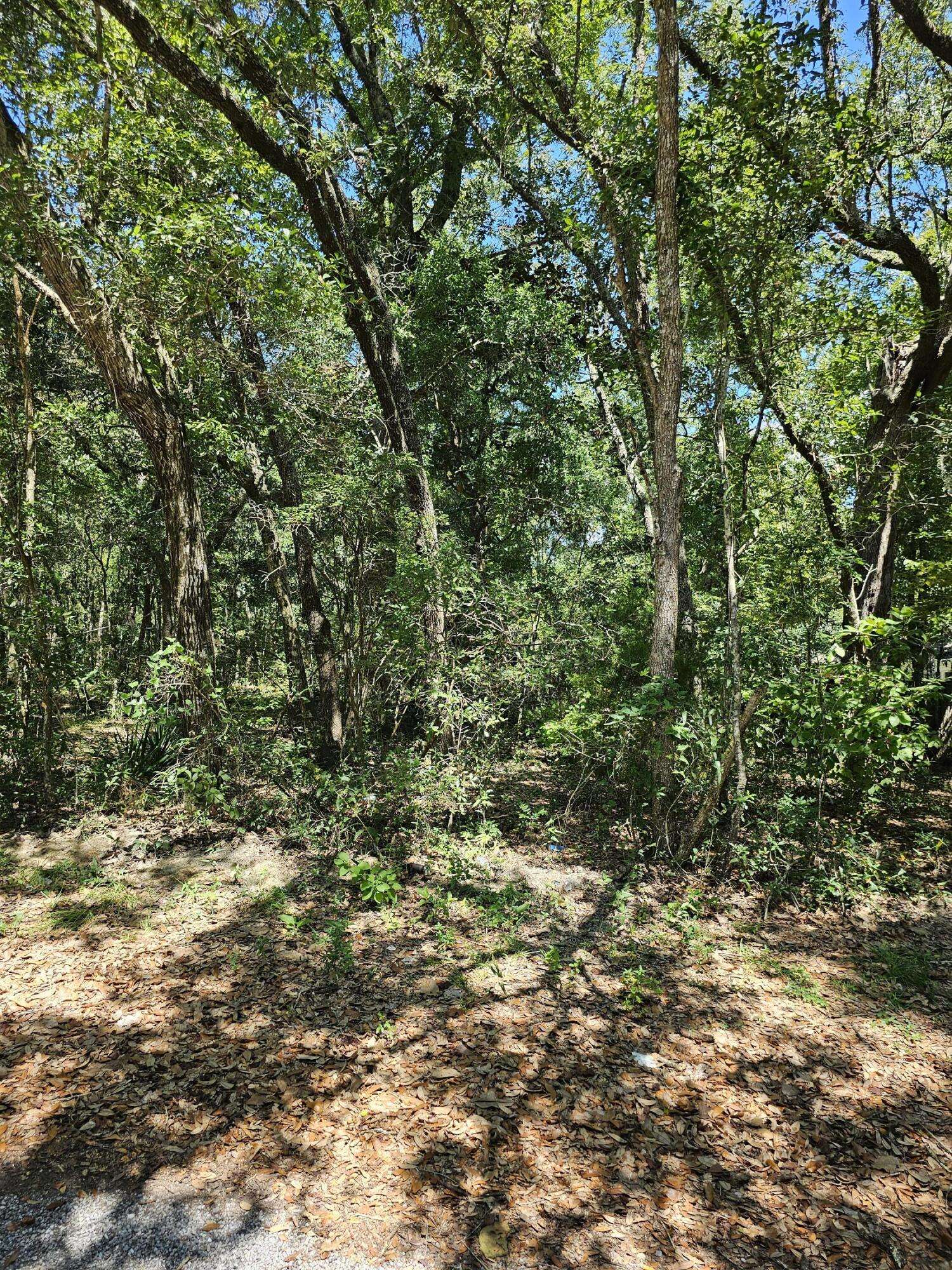 Freeport, FL 32439,Lot 4 Aspen Street