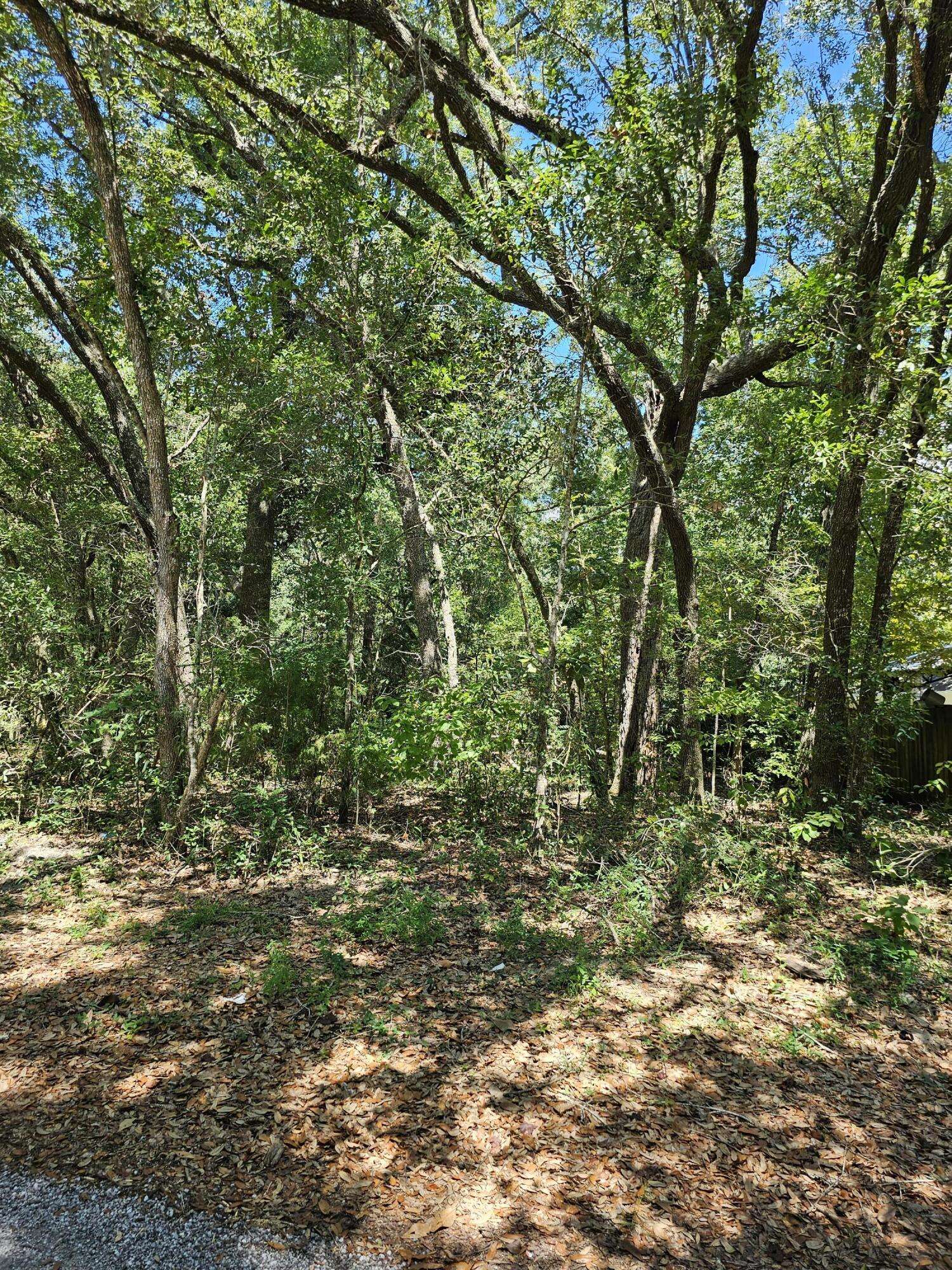 Freeport, FL 32439,Lot 4 Aspen Street