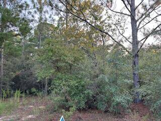 Defuniak Springs, FL 32433,TBD Lucky Leaf Lane