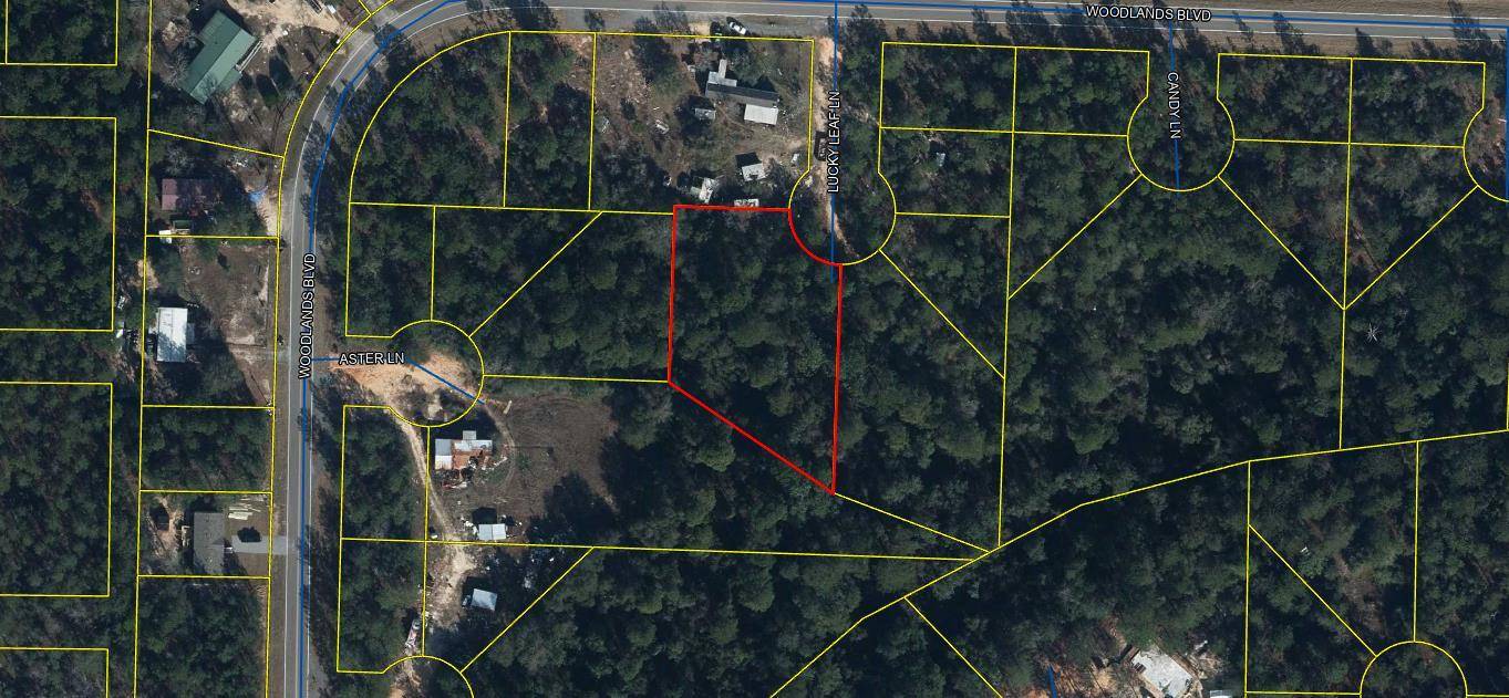 Defuniak Springs, FL 32433,TBD Lucky Leaf Lane