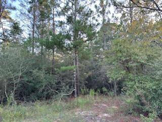 Defuniak Springs, FL 32433,TBD Lucky Leaf Lane