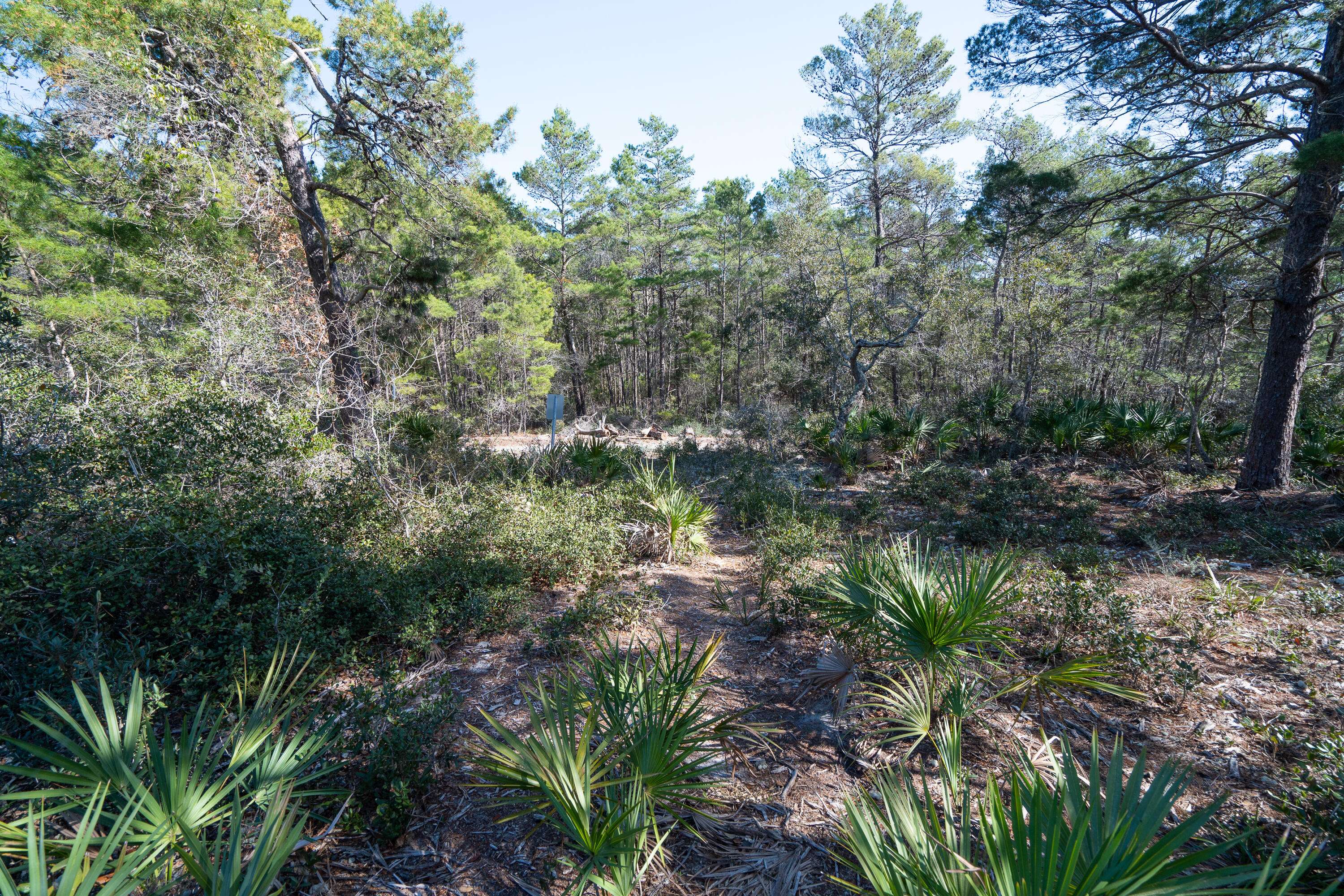 Santa Rosa Beach, FL 32459,Lot 29 E Surfside Drive