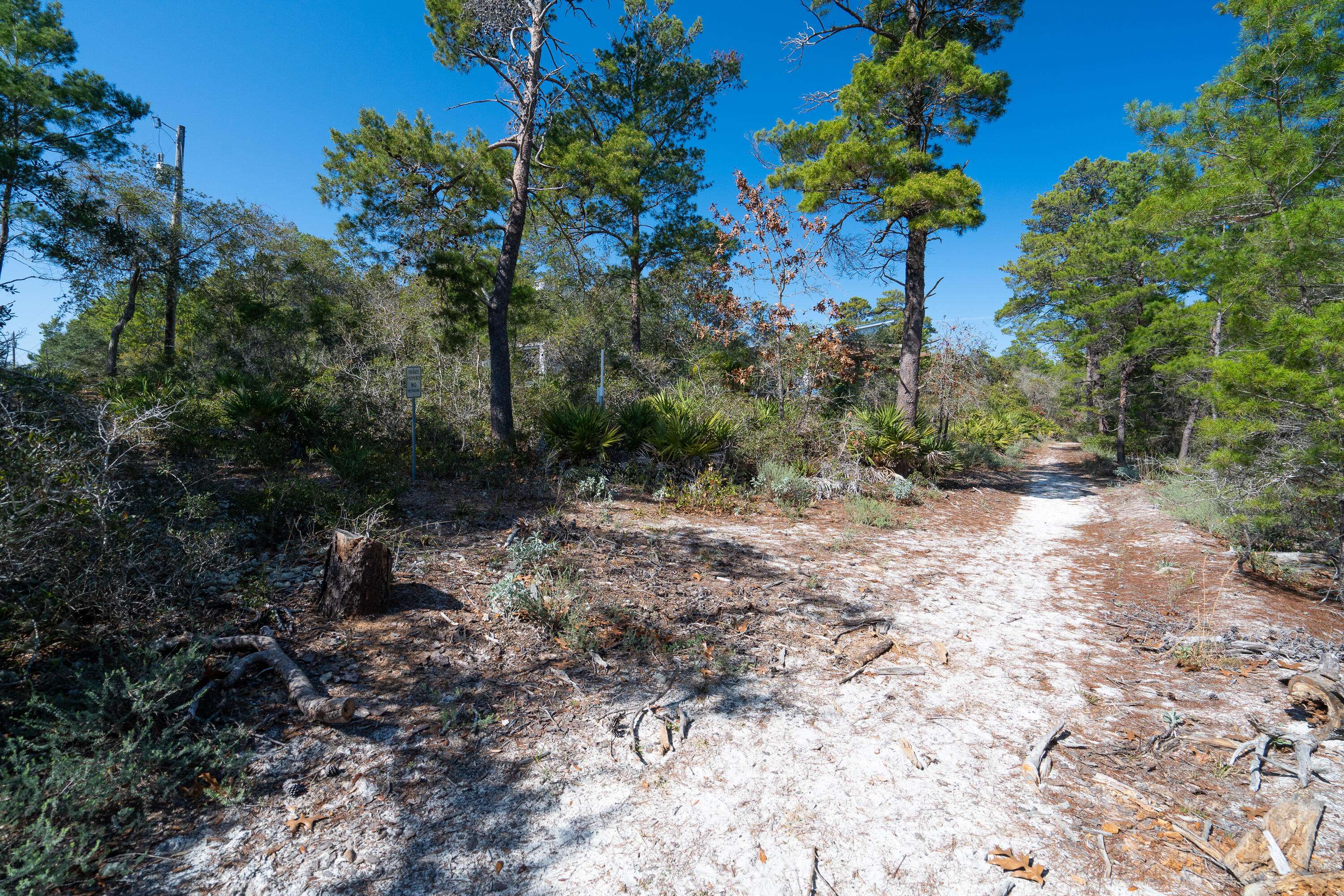 Santa Rosa Beach, FL 32459,Lot 29 E Surfside Drive