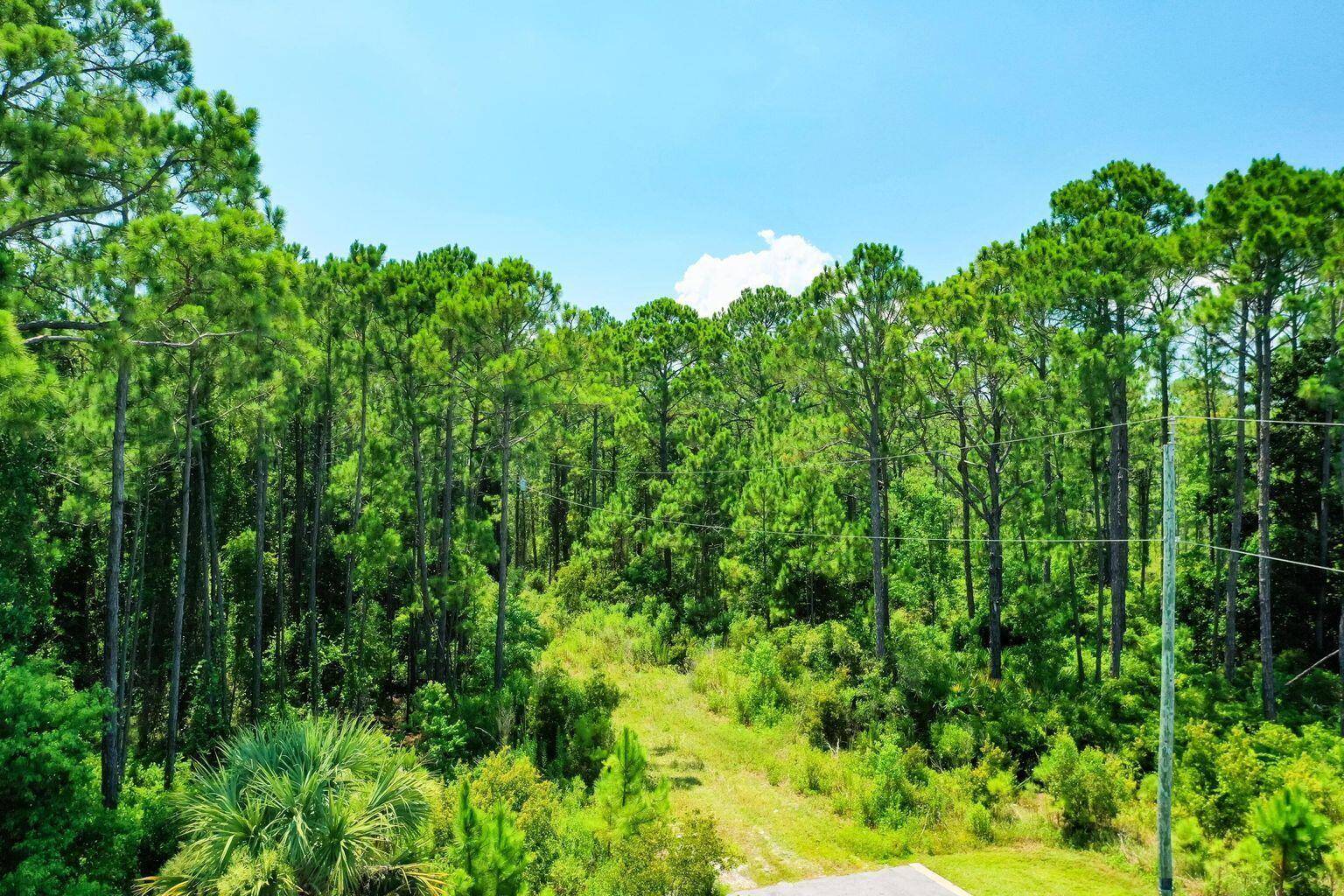 Santa Rosa Beach, FL 32459,TBD Saint Johns Lot 7 Road