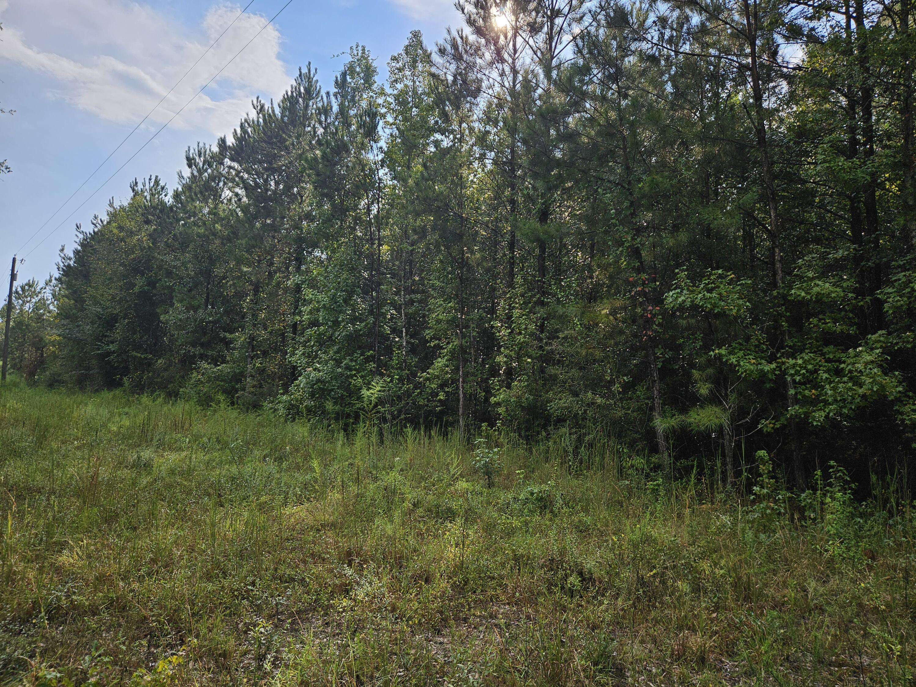 Laurel Hill, FL 32567,10 Acres Davis Road