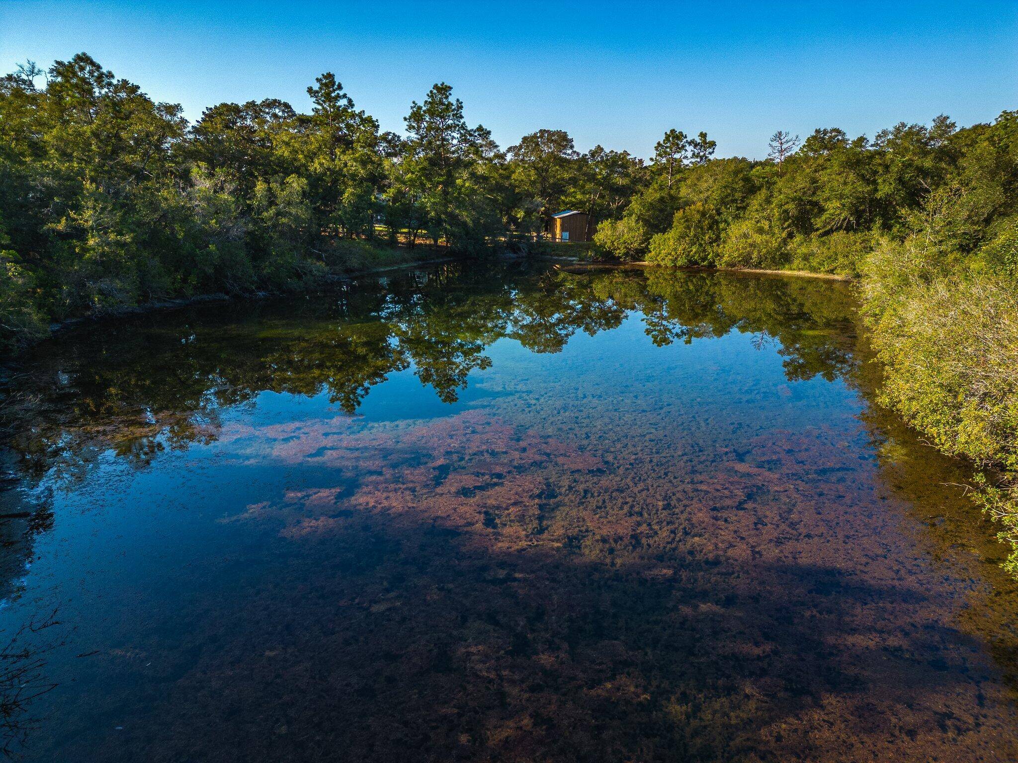 Defuniak Springs, FL 32435,261 Bear Head Road