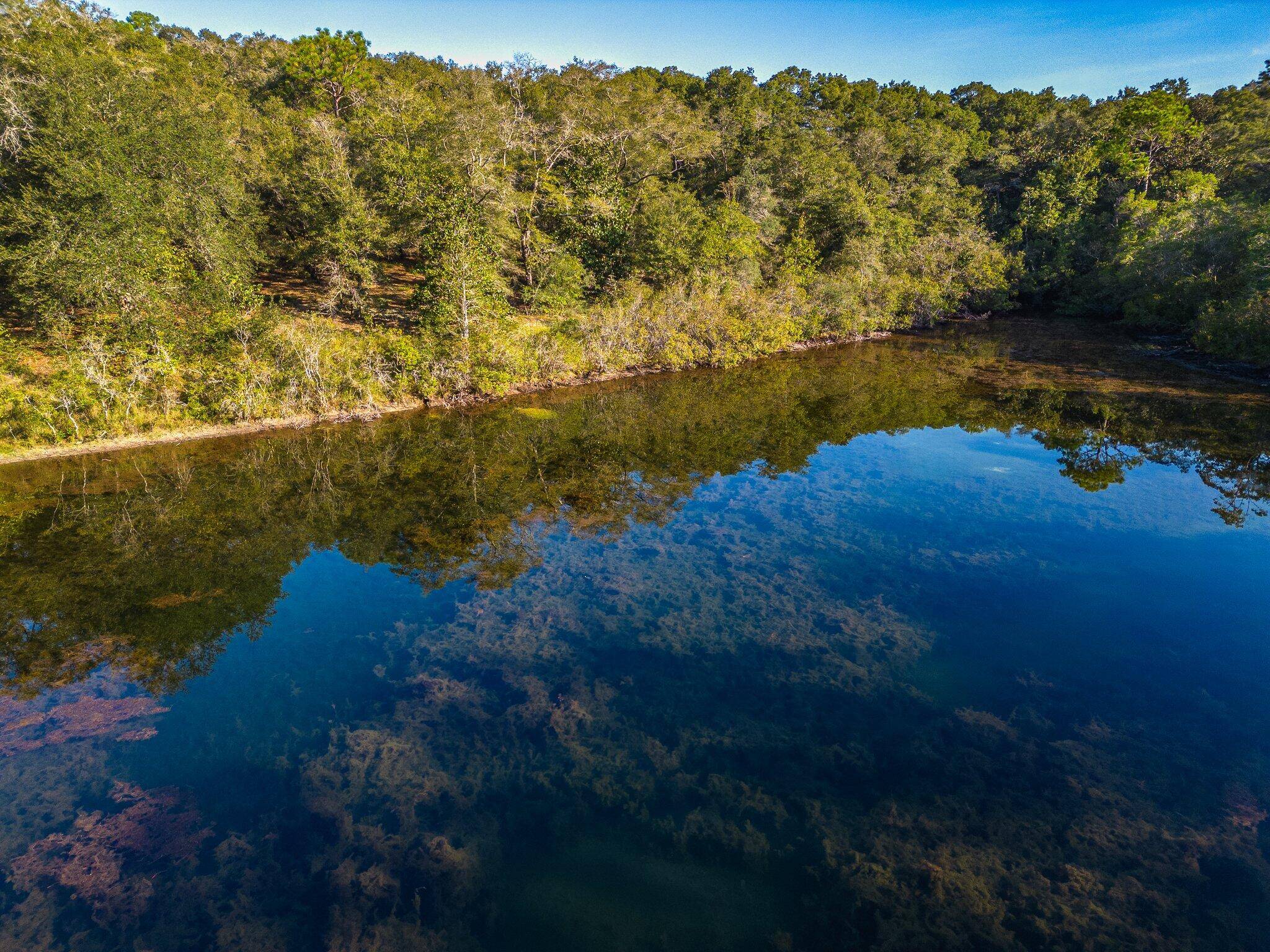 Defuniak Springs, FL 32435,261 Bear Head Road