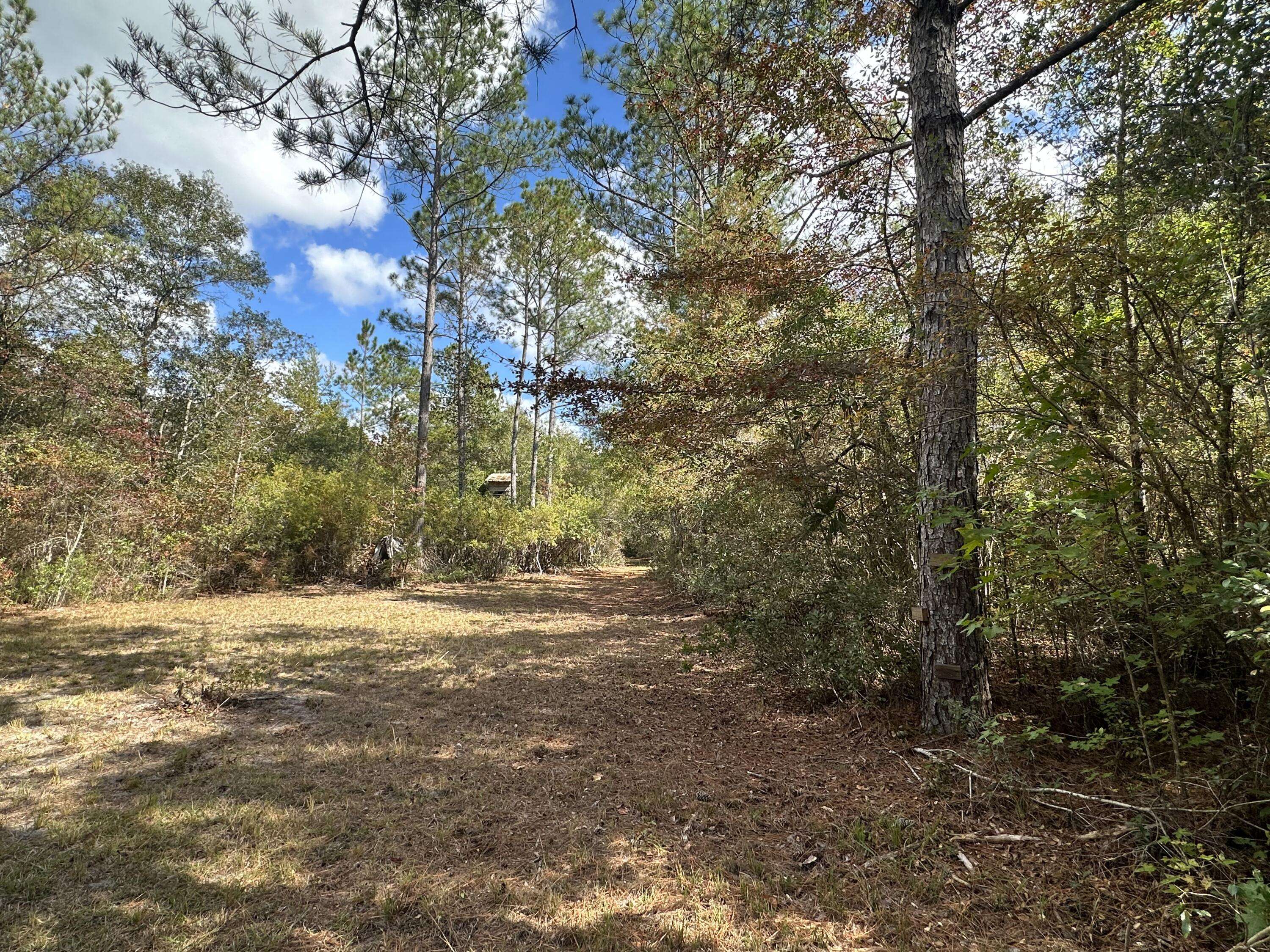 Crestview, FL 32536,128.57 AC Lacey Lane