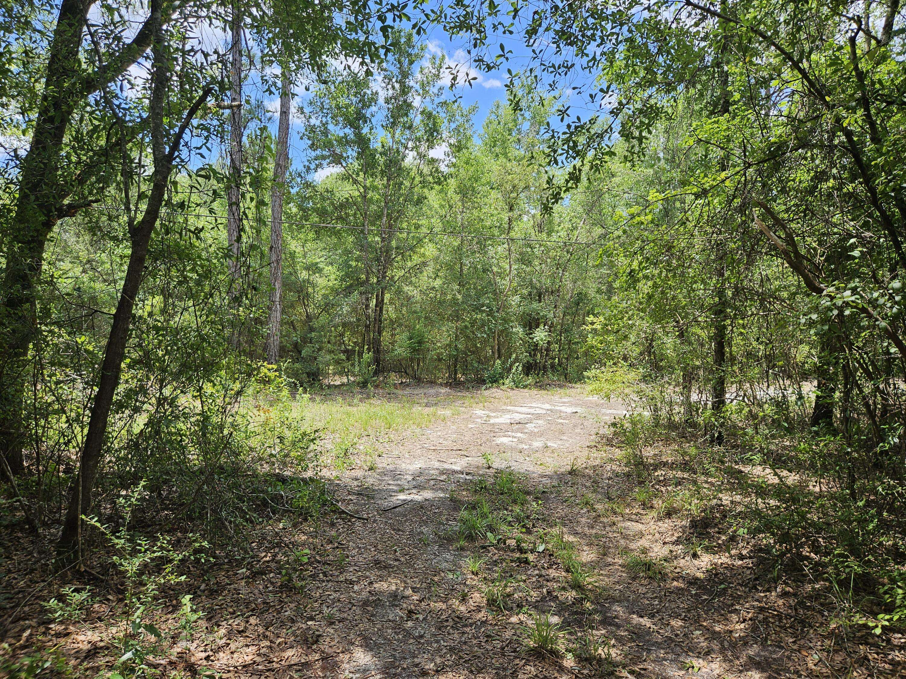 Holt, FL 32564,3908 Yellow River Log Lake Road