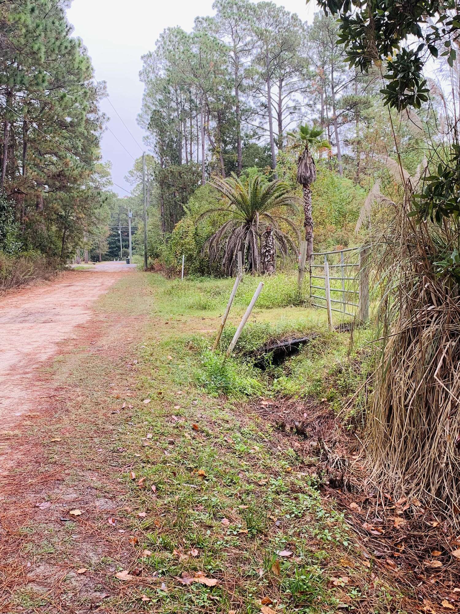 Santa Rosa Beach, FL 32459,Lot 22 Pepper Tree Road