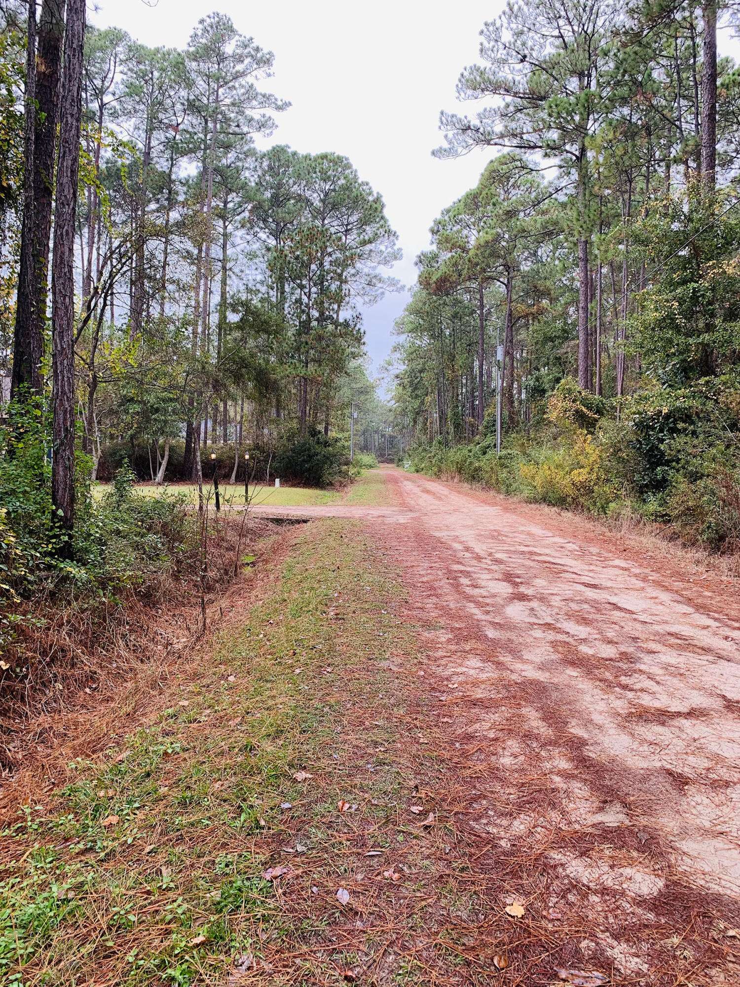 Santa Rosa Beach, FL 32459,Lot 22 Pepper Tree Road