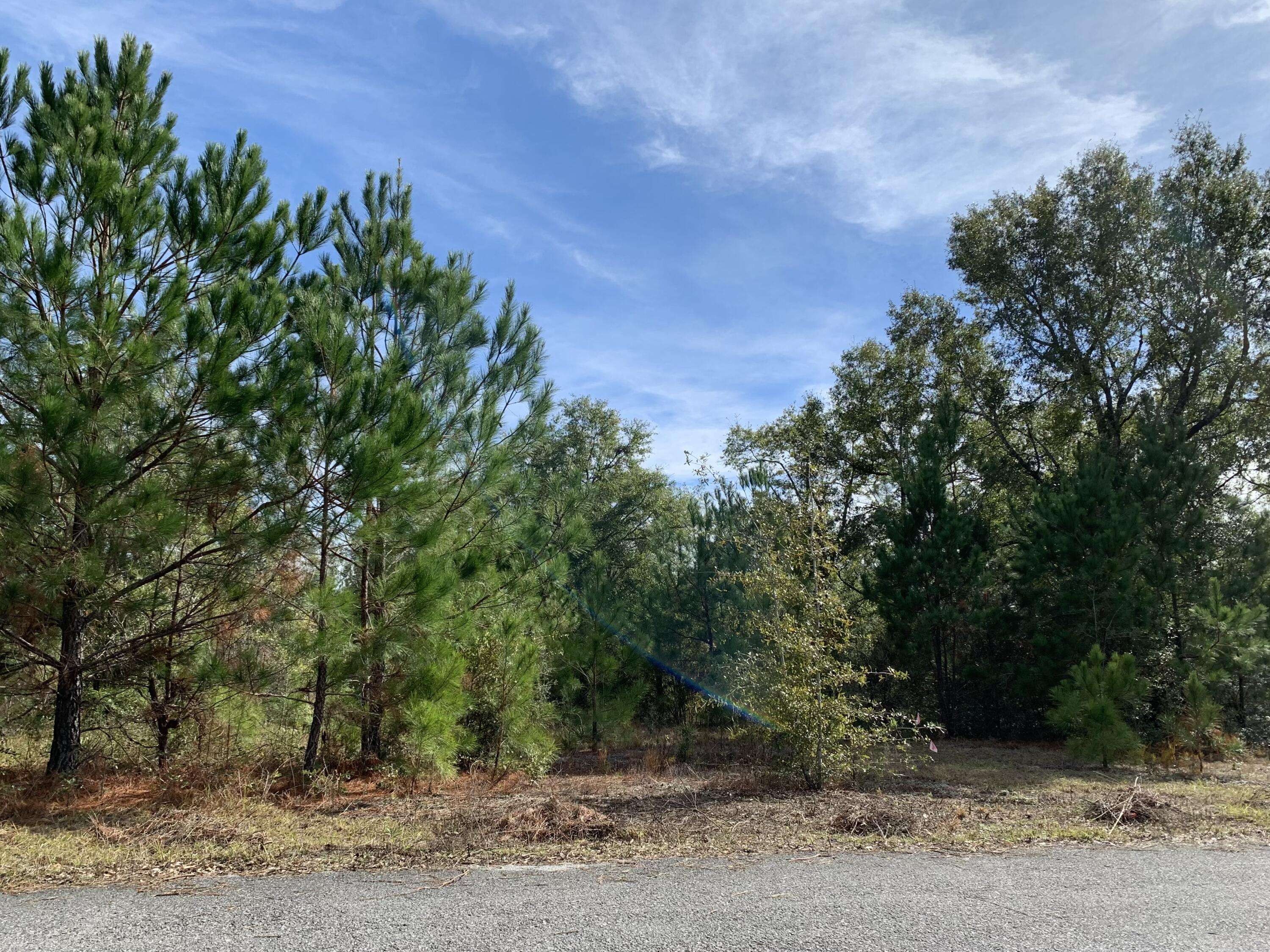 Defuniak Springs, FL 32435,Lot 7 S Pleasant Drive