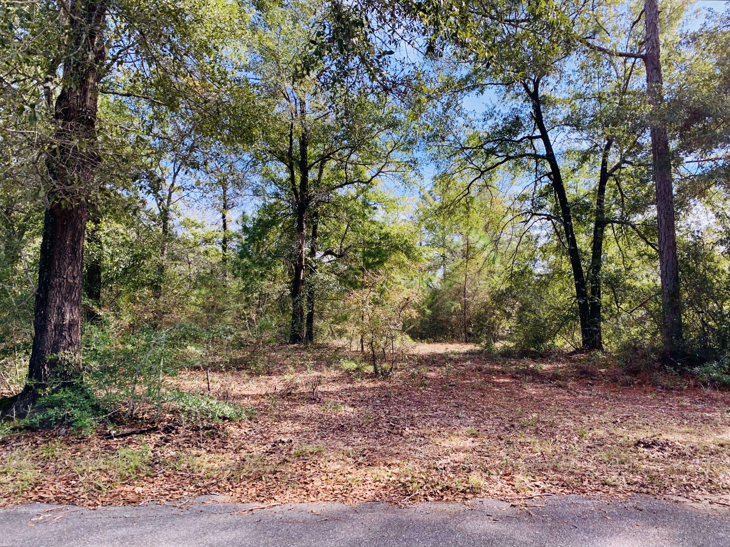 Defuniak Springs, FL 32435,Lot 7 S Pleasant Drive