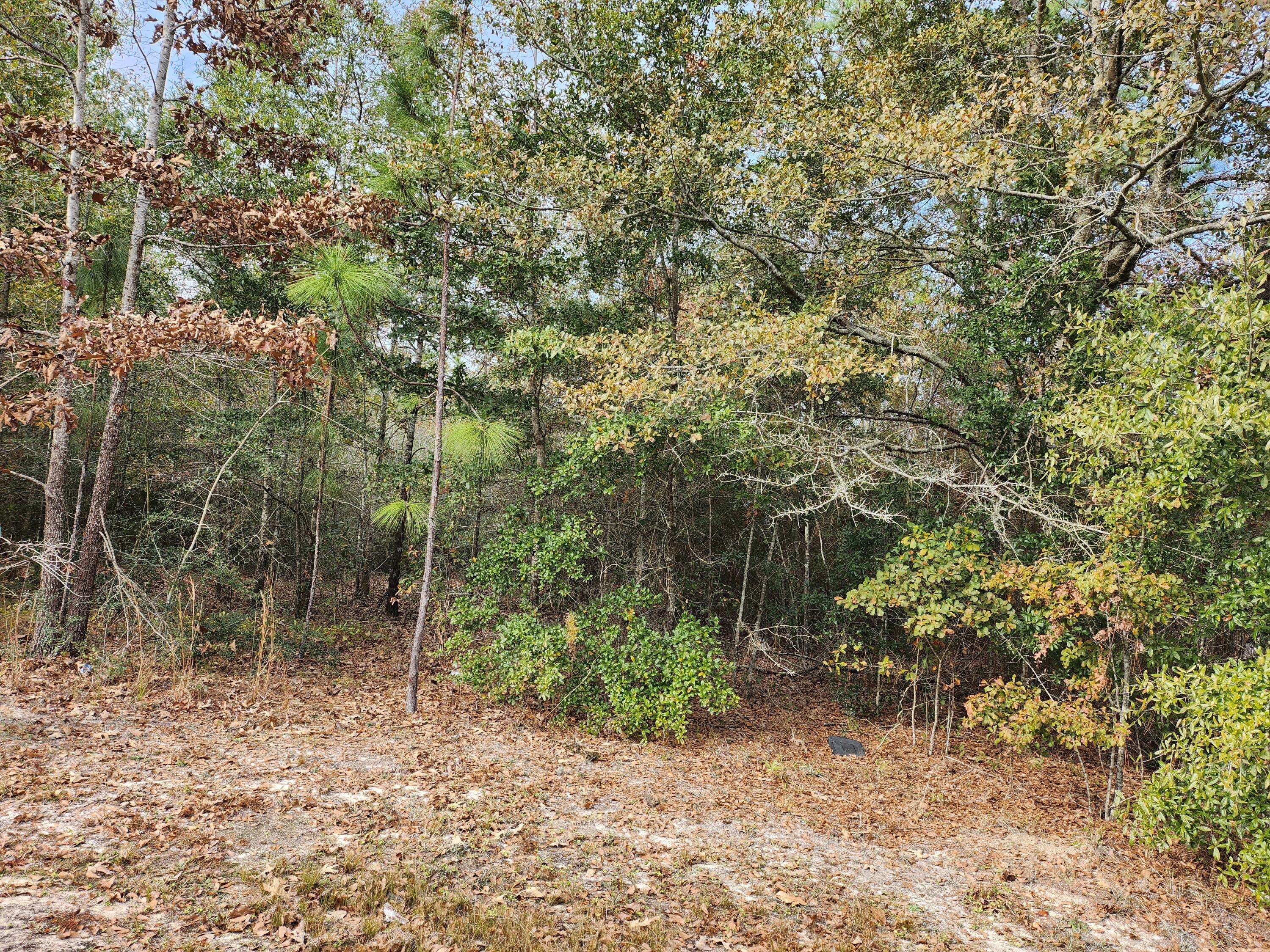 Defuniak Springs, FL 32433,Lot 26 Ten Lake Drive