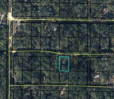 Caryville, FL 32425,00 Raccoon Run